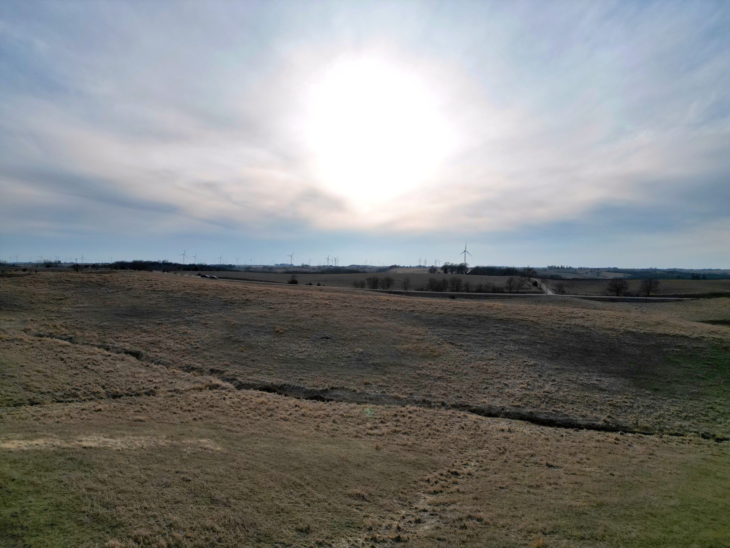 land-adair-county-iowa-34-acres-listing-number-16735-Grasty 34 14-0.jpg