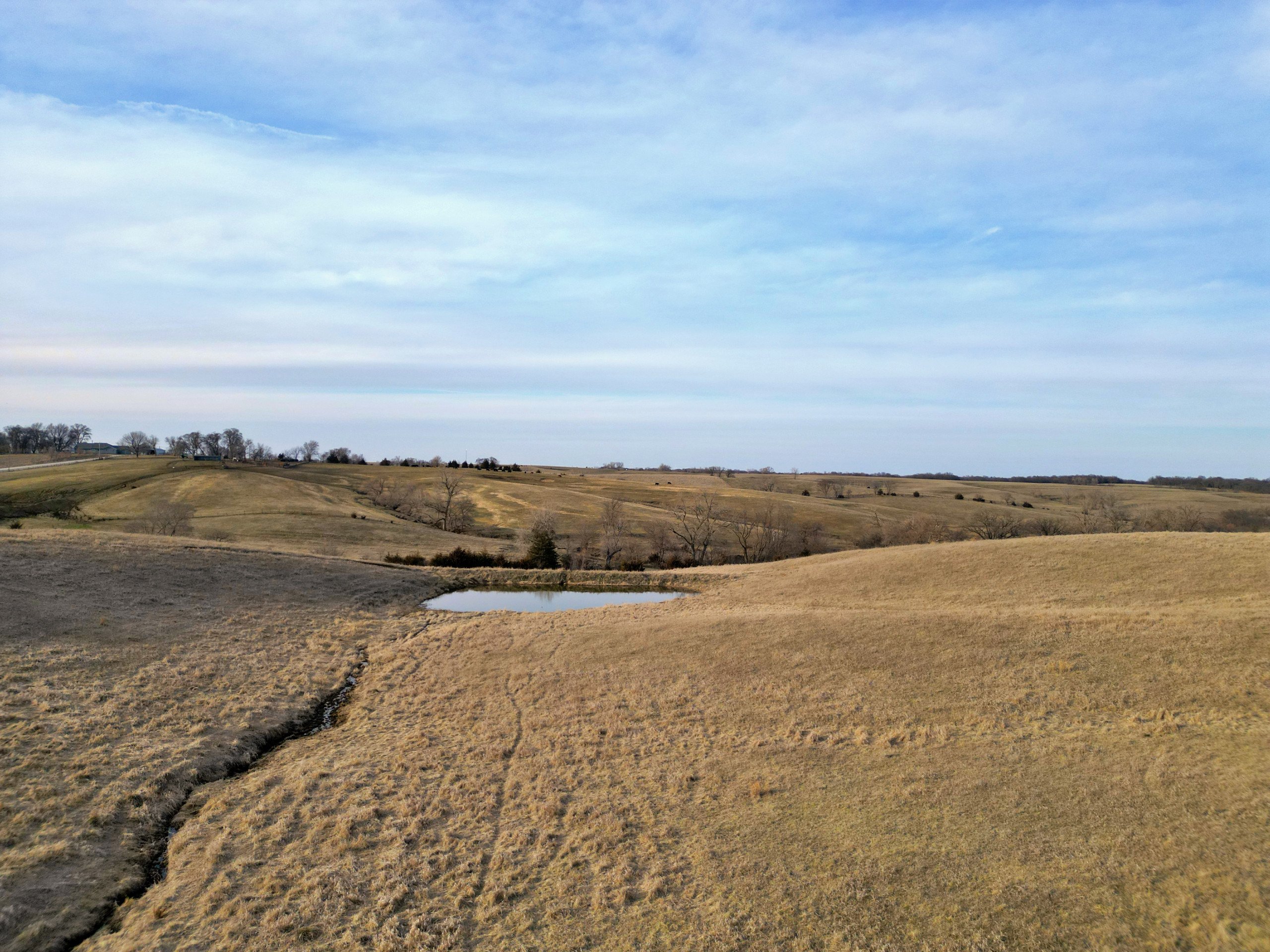 land-adair-county-iowa-34-acres-listing-number-16735-Grasty 34 15-1.jpg