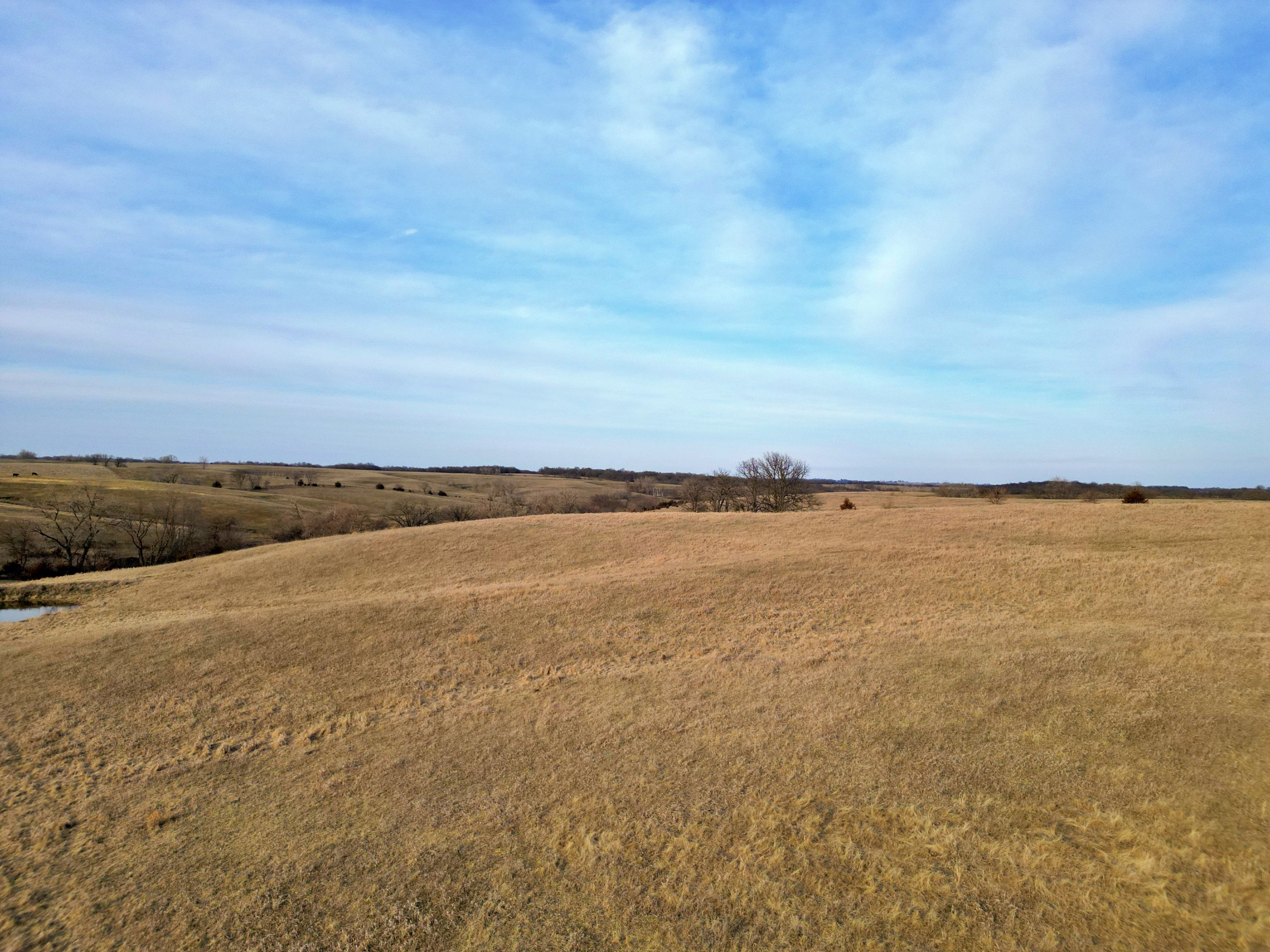 land-adair-county-iowa-34-acres-listing-number-16735-Grasty 34 16-2.jpg