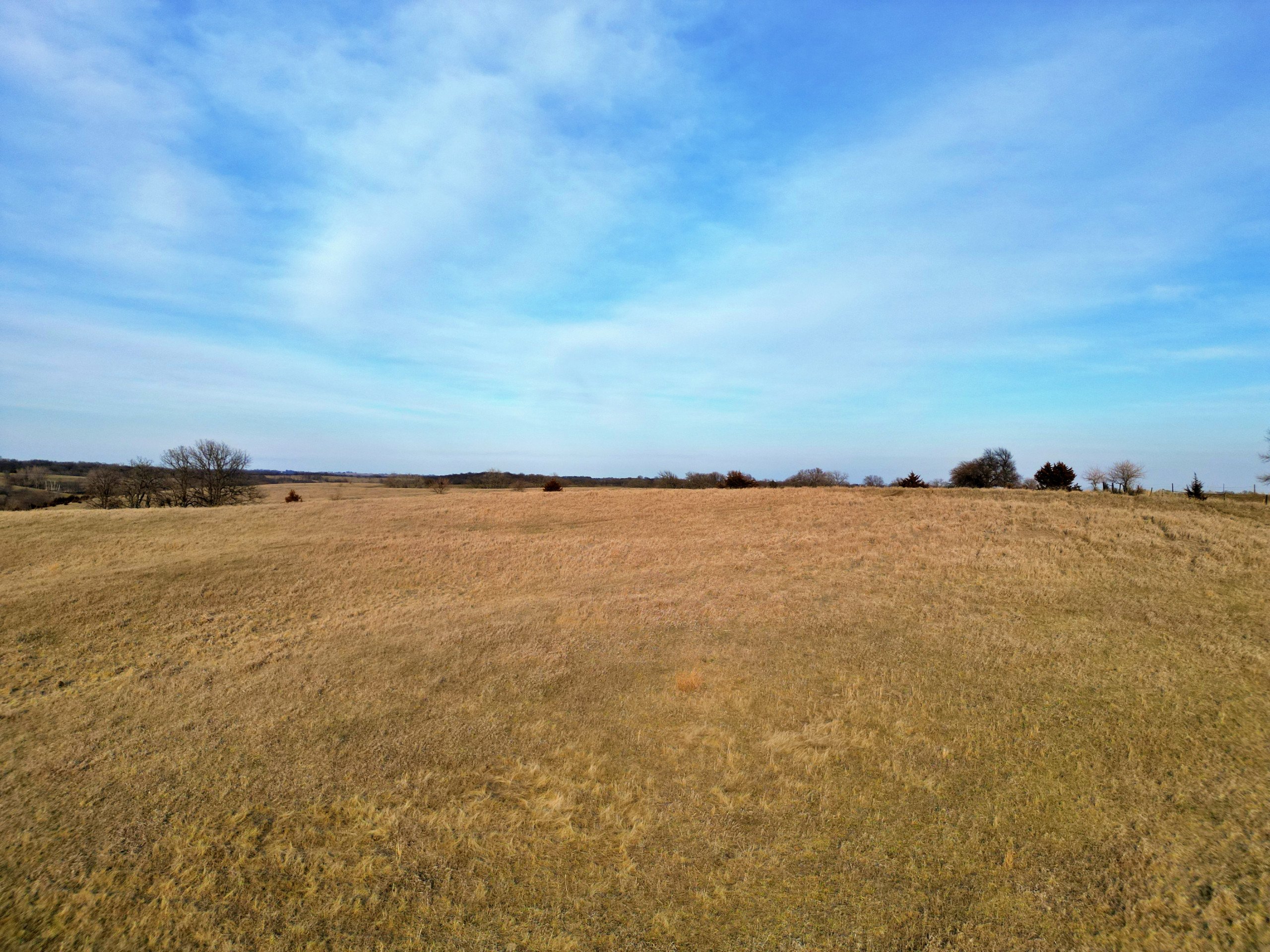 land-adair-county-iowa-34-acres-listing-number-16735-Grasty 34 17-0.jpg