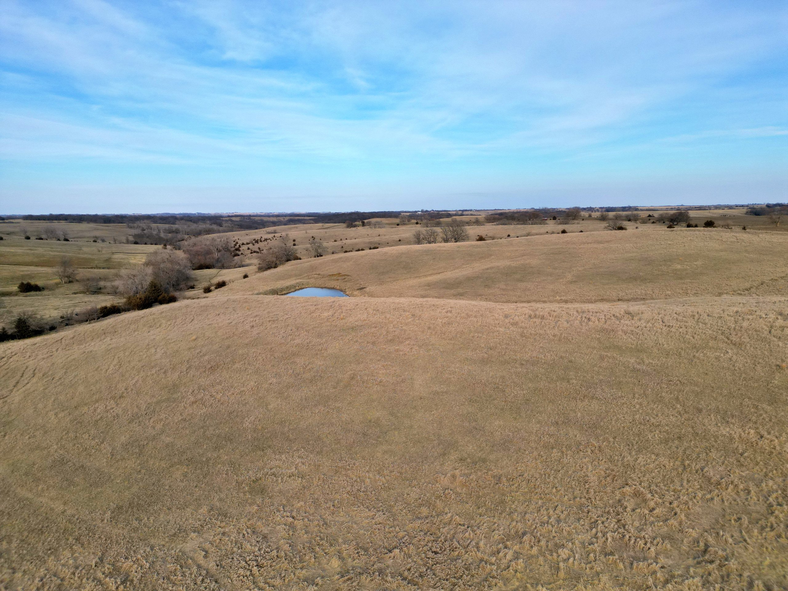 land-adair-county-iowa-34-acres-listing-number-16735-Grasty 34 6-1.jpg