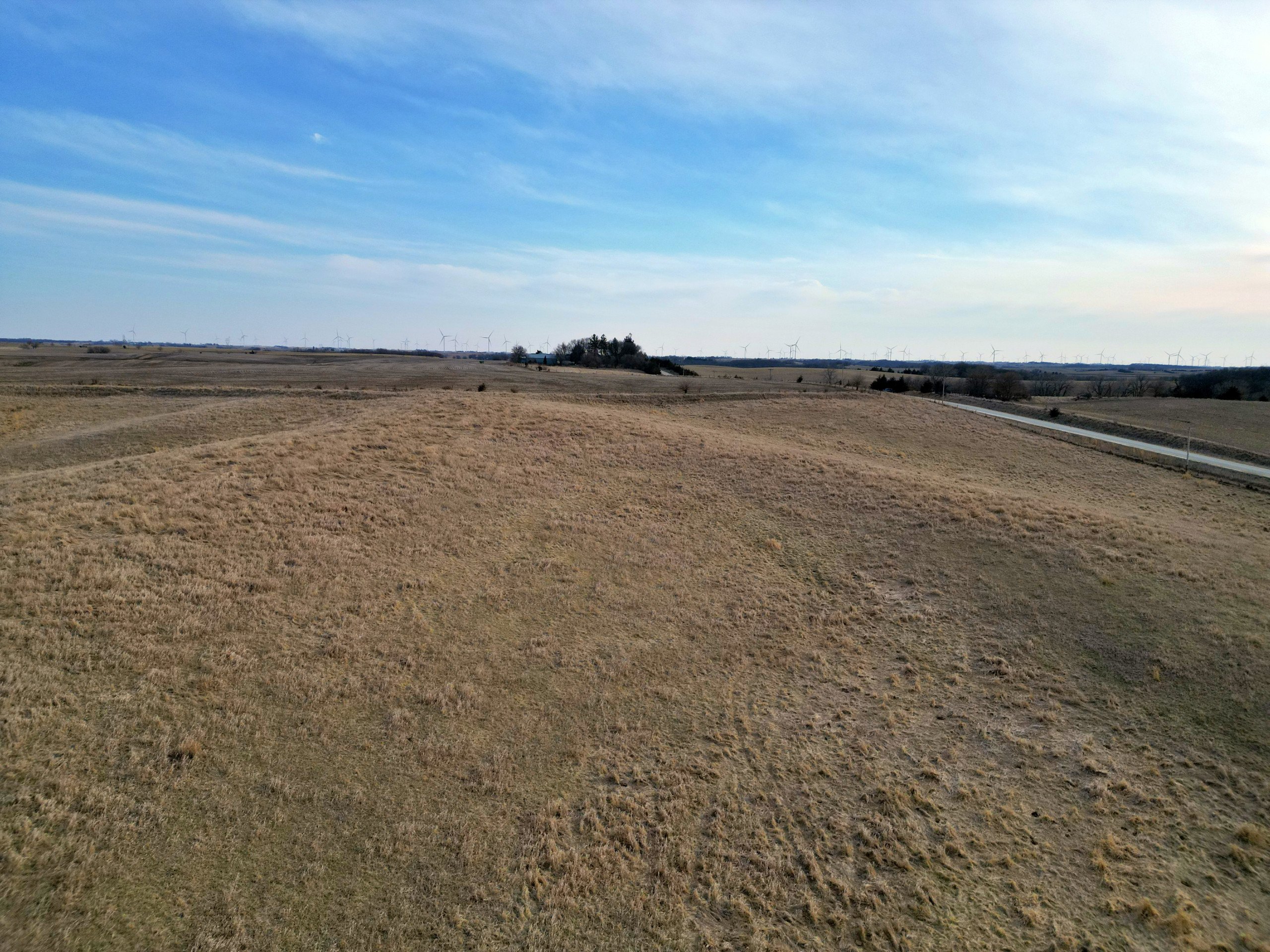 land-adair-county-iowa-34-acres-listing-number-16735-Grasty 34 7-2.jpg