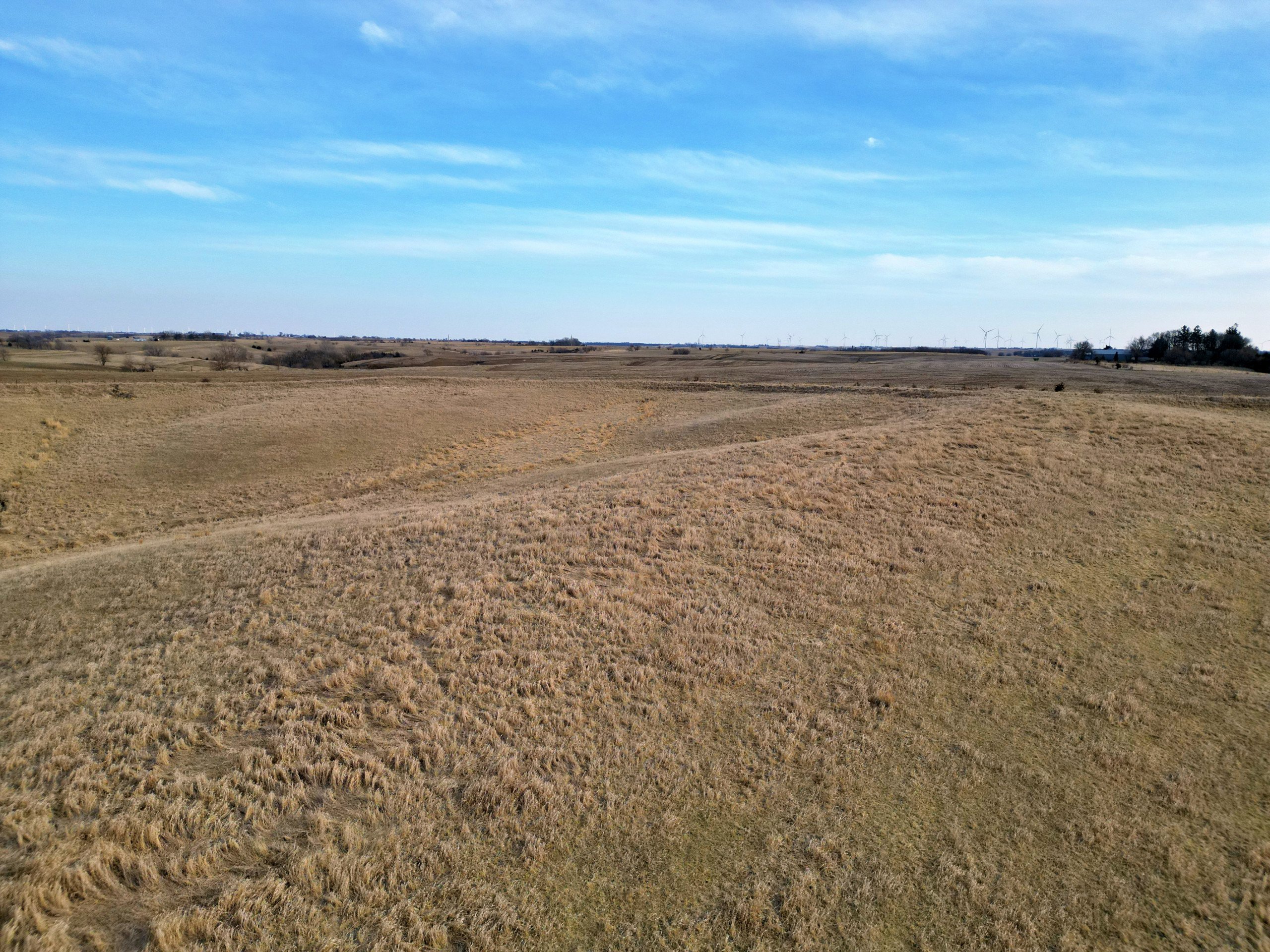 land-adair-county-iowa-34-acres-listing-number-16735-Grasty 34 8-0.jpg