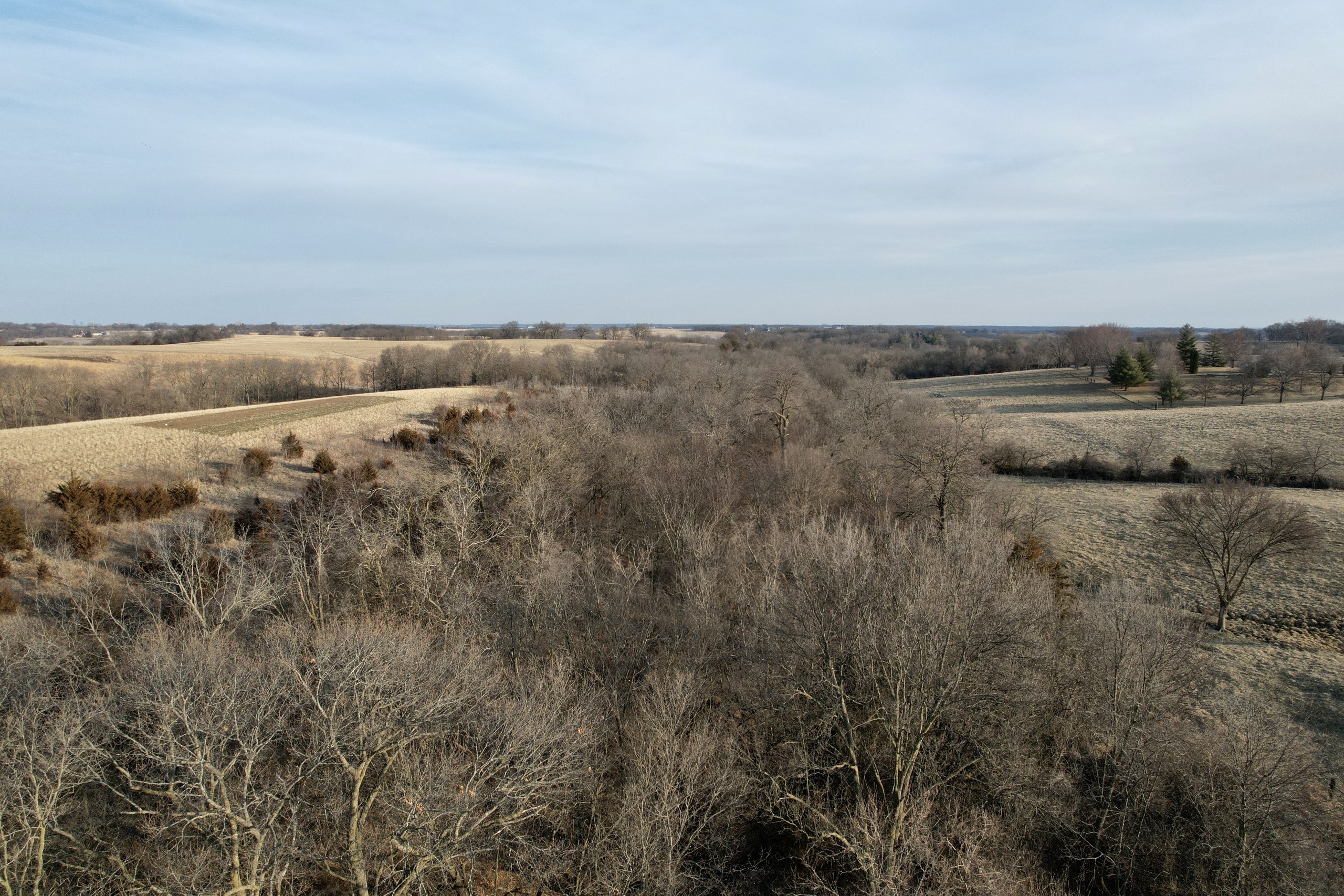 land-warren-county-iowa-6-acres-listing-number-16737-DJI_0710-6.jpg