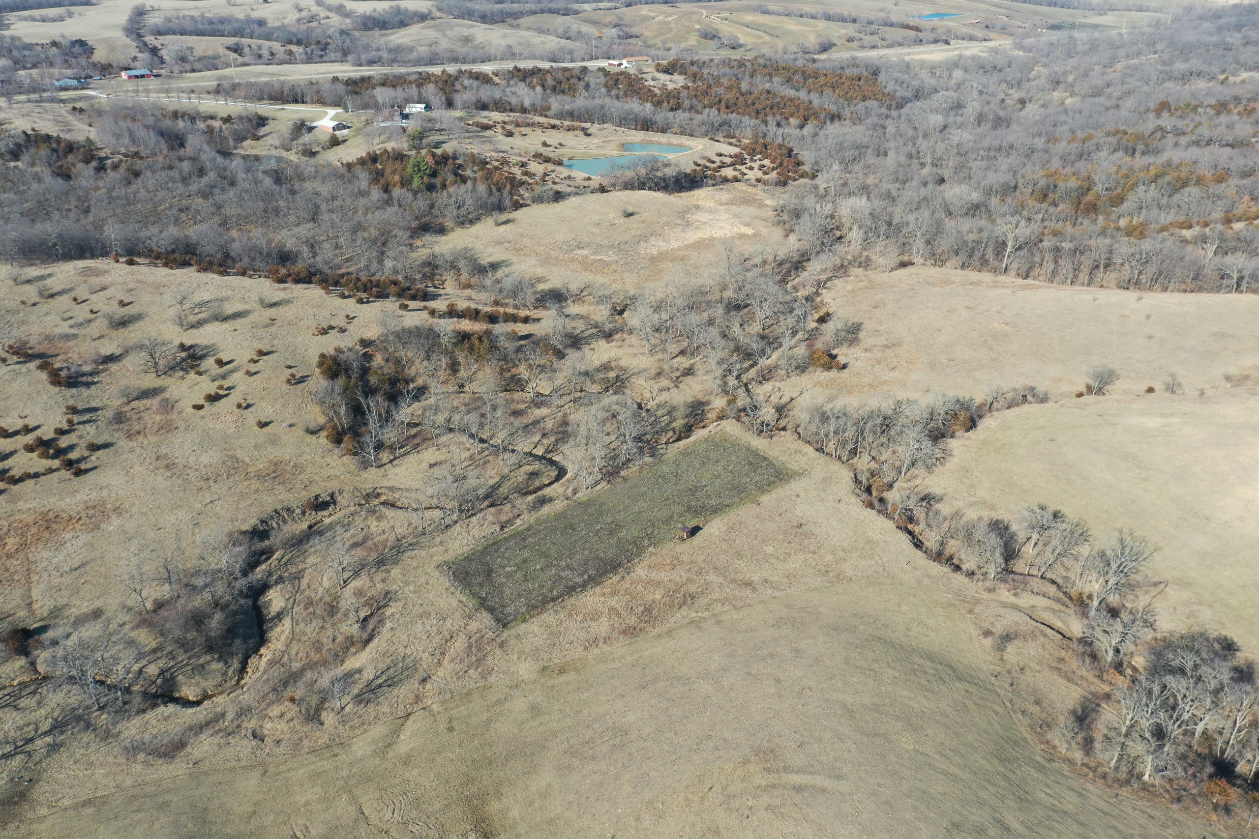 land-lucas-county-iowa-80-acres-listing-number-16740-DJI_0163-0.jpg