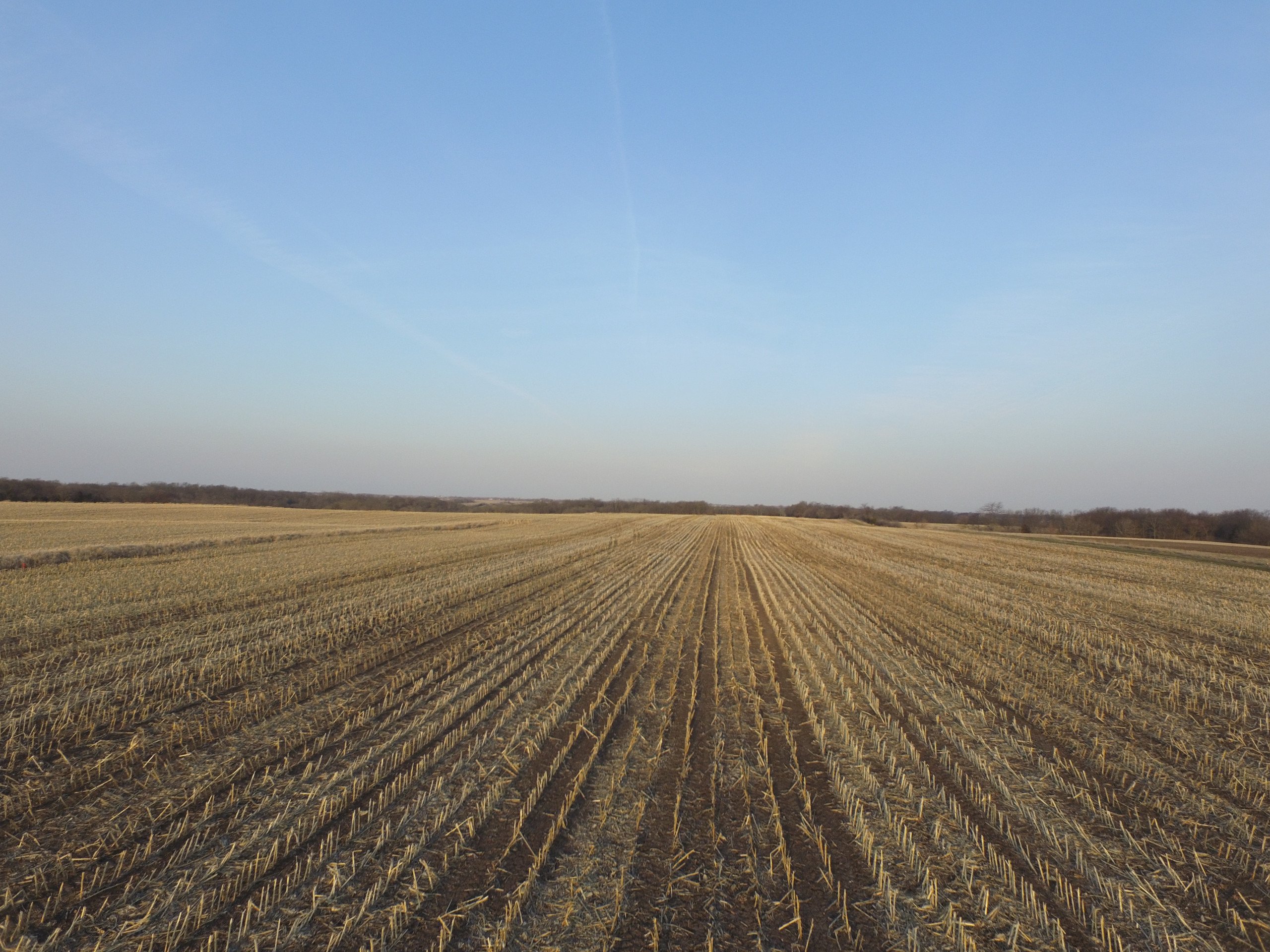 land-marion-county-iowa-86-acres-listing-number-16742-DJI_0029 - Copy-4.jpg