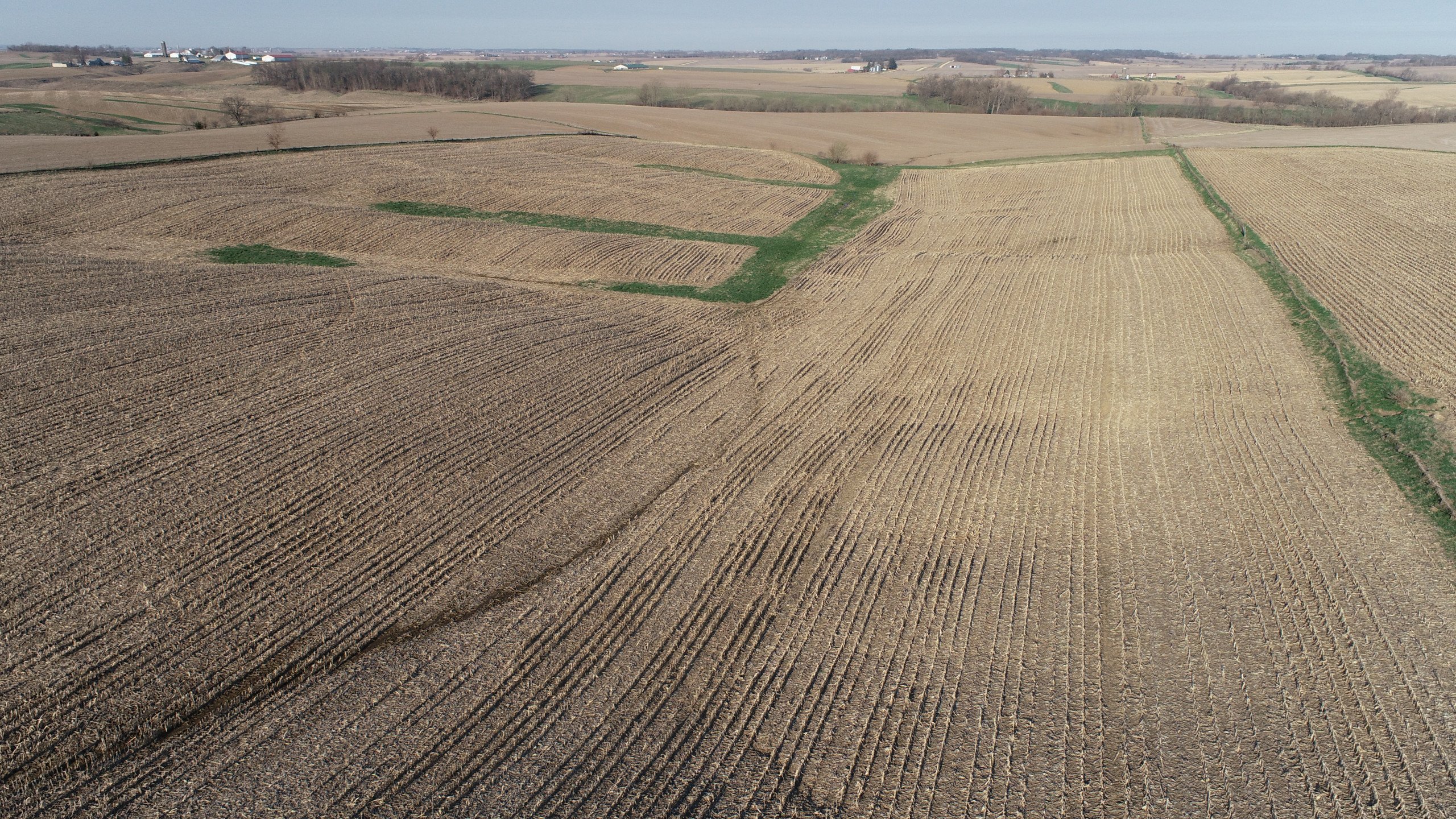 land-clinton-county-iowa-20-acres-listing-number-16744-DJI_0710-3.jpg