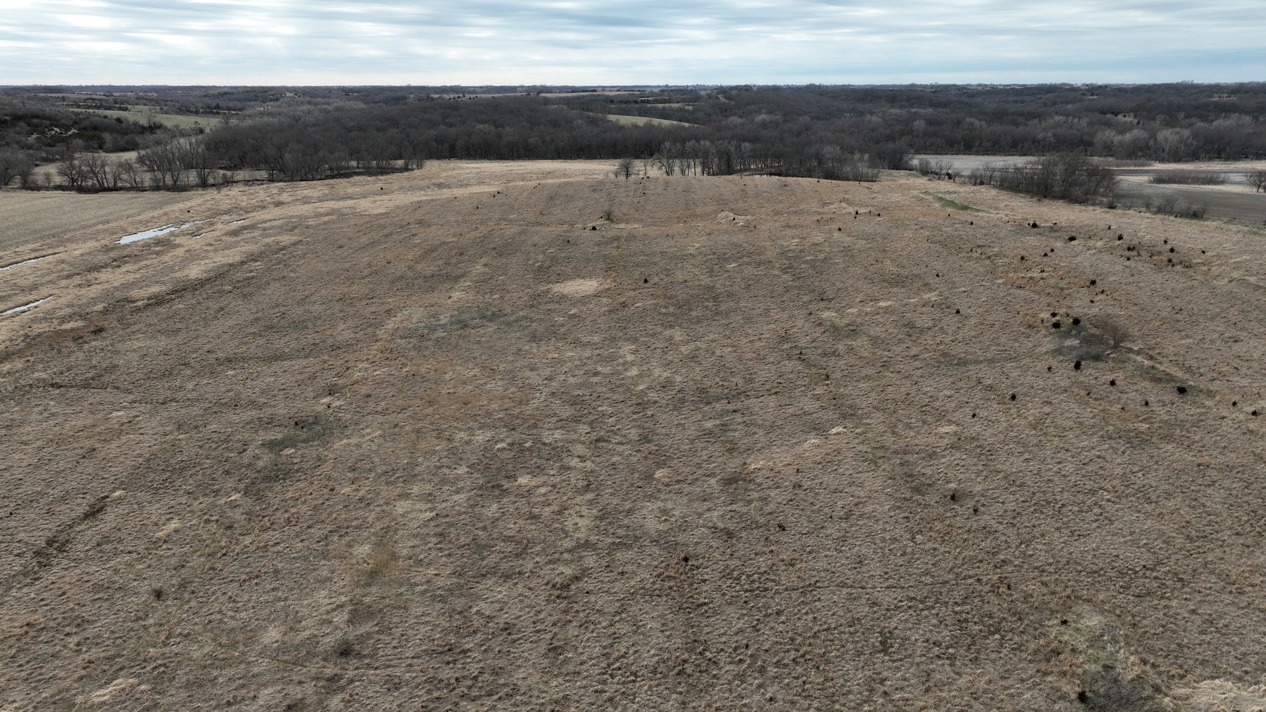 land-lucas-county-iowa-78-acres-listing-number-16753-DJI_0377-1.jpg