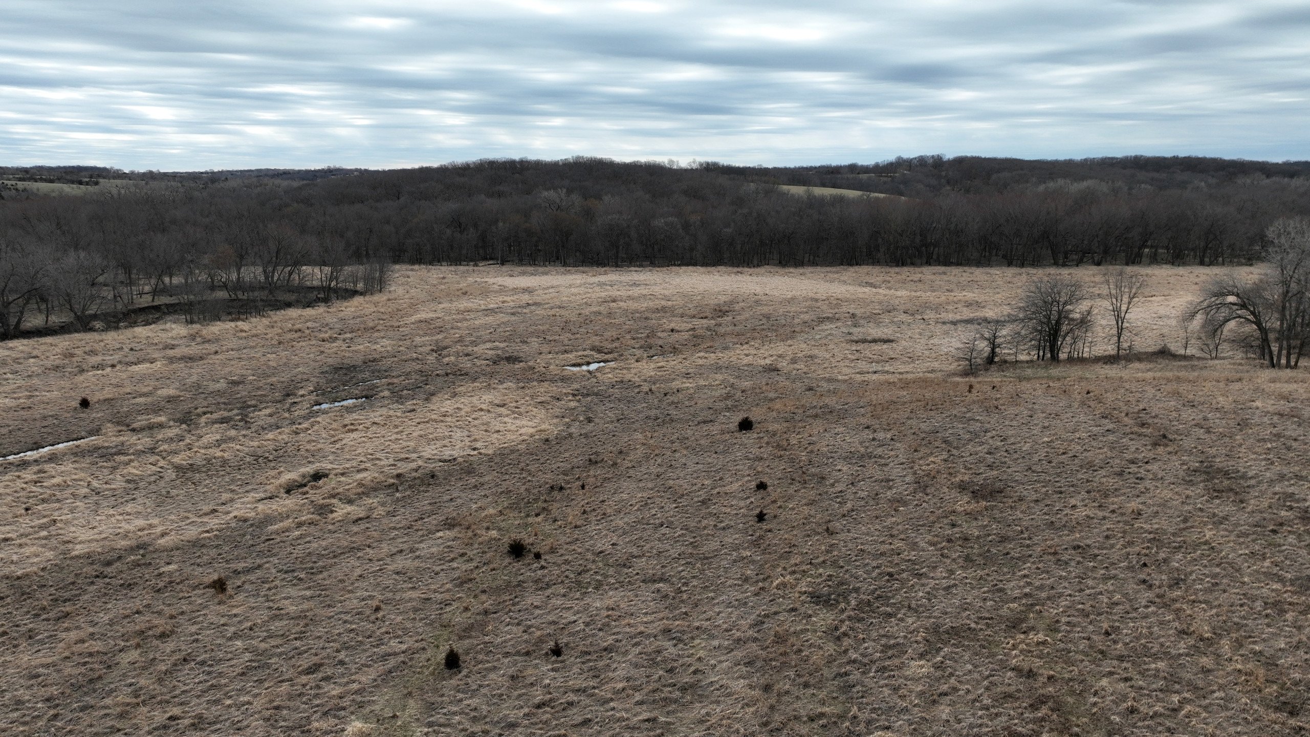 land-lucas-county-iowa-78-acres-listing-number-16753-DJI_0380-4.jpg