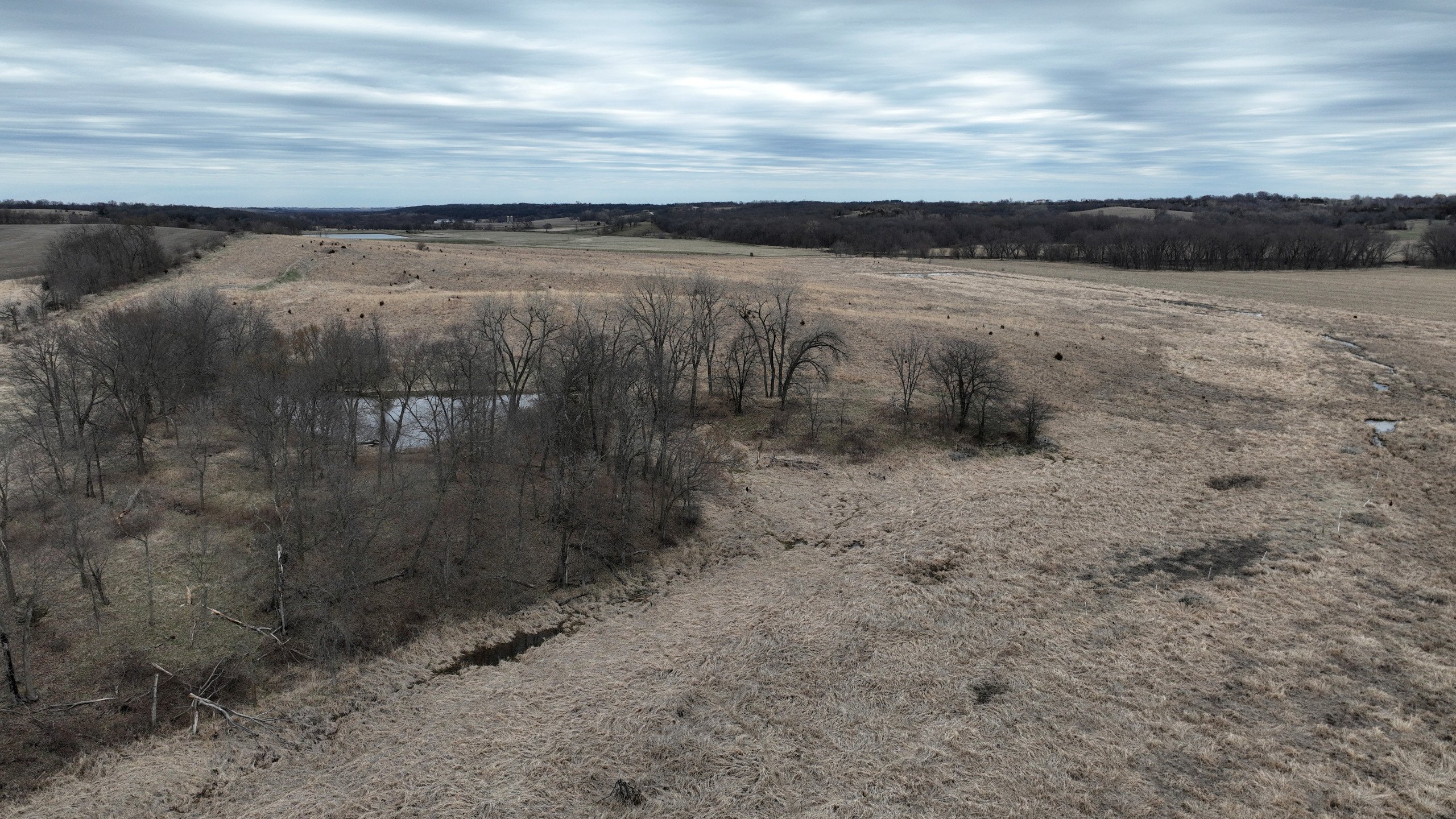 land-lucas-county-iowa-78-acres-listing-number-16753-DJI_0383-1.jpg