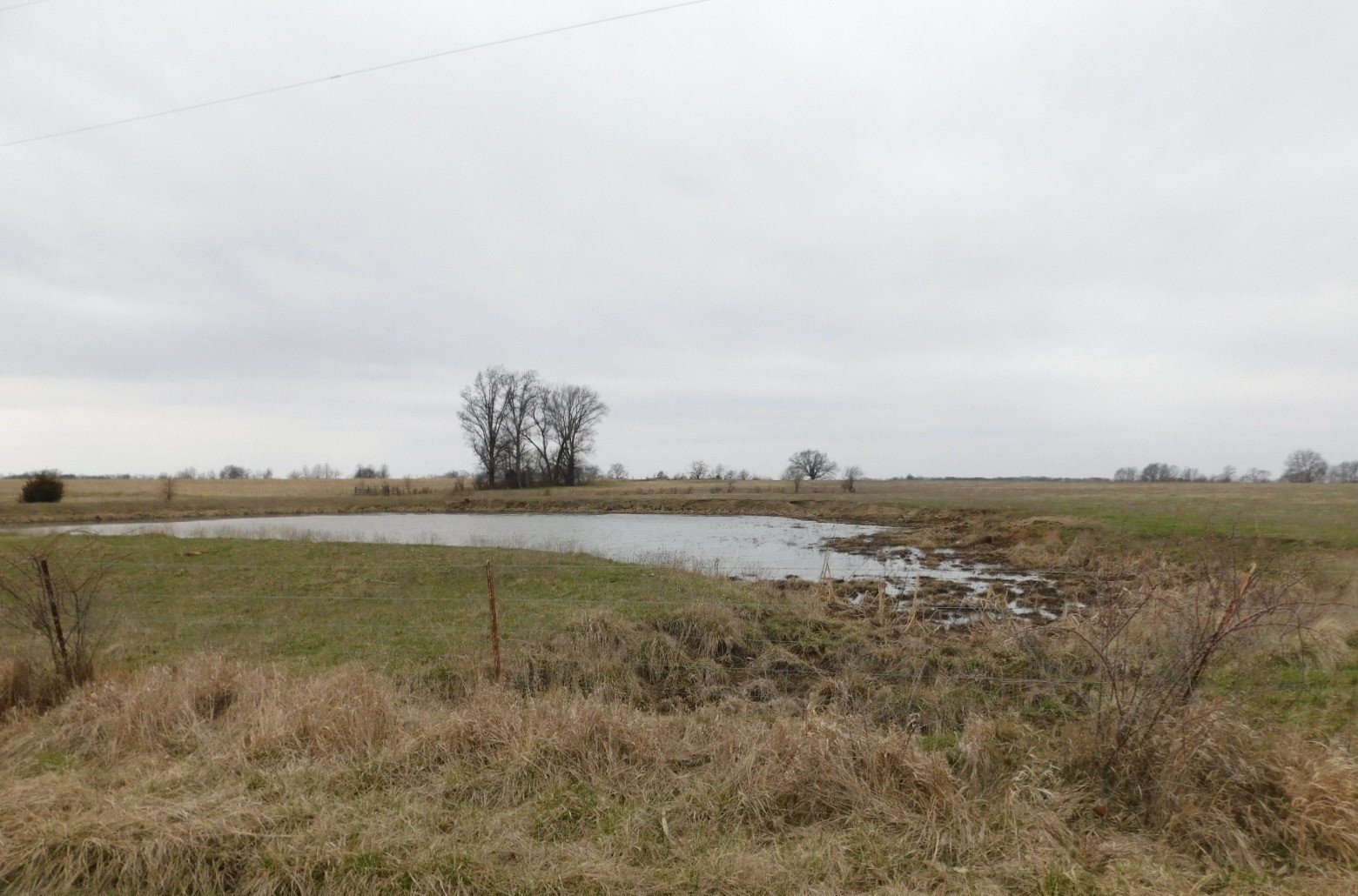 auctions-land-audrain-county-missouri-80-acres-listing-number-16756-16756-photo-auctions-audrain-county-missouri-80-acres-listing-number-16756-dscn9024-2jpg-2.jpg