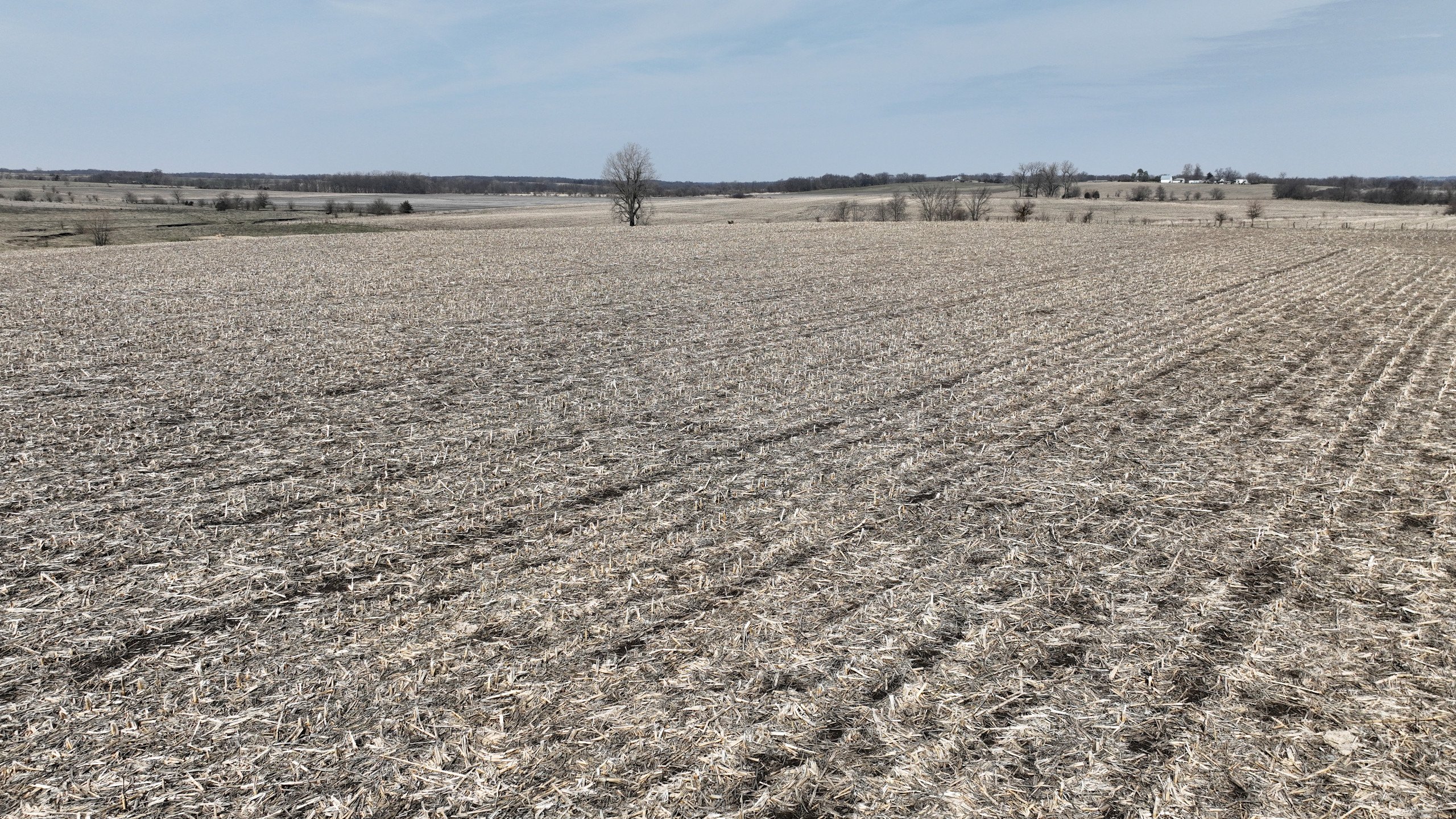 3-125th-avenue-grand-river-50108-DJI_0353-0.jpg