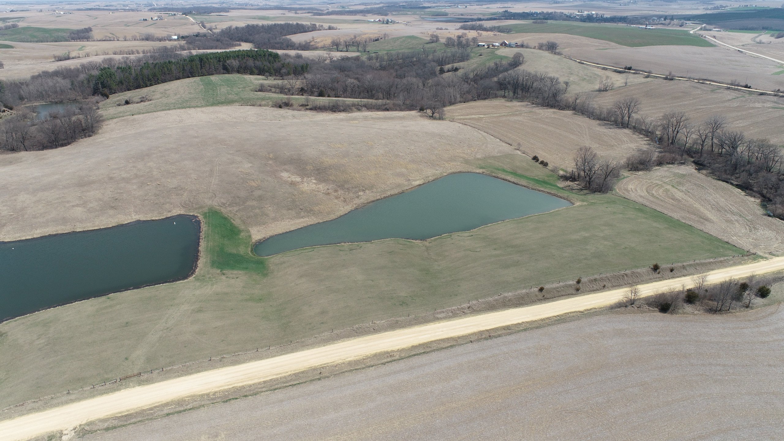 auctions-land-clinton-county-iowa-80-acres-listing-number-16758-DJI_0689-1.jpg