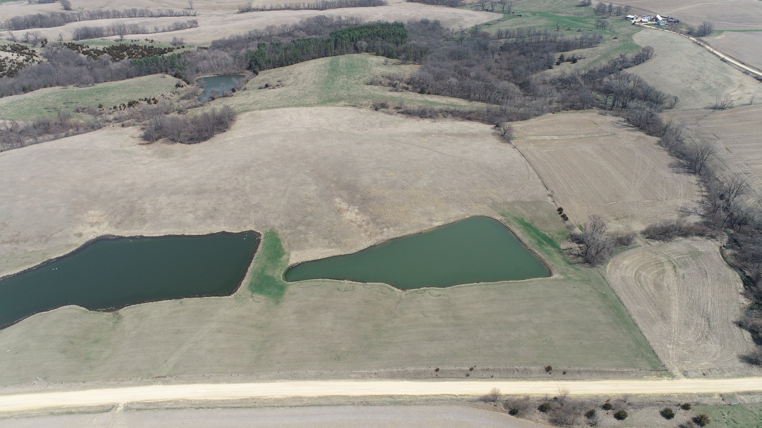 auctions-land-clinton-county-iowa-80-acres-listing-number-16758-DJI_0691-0.jpg