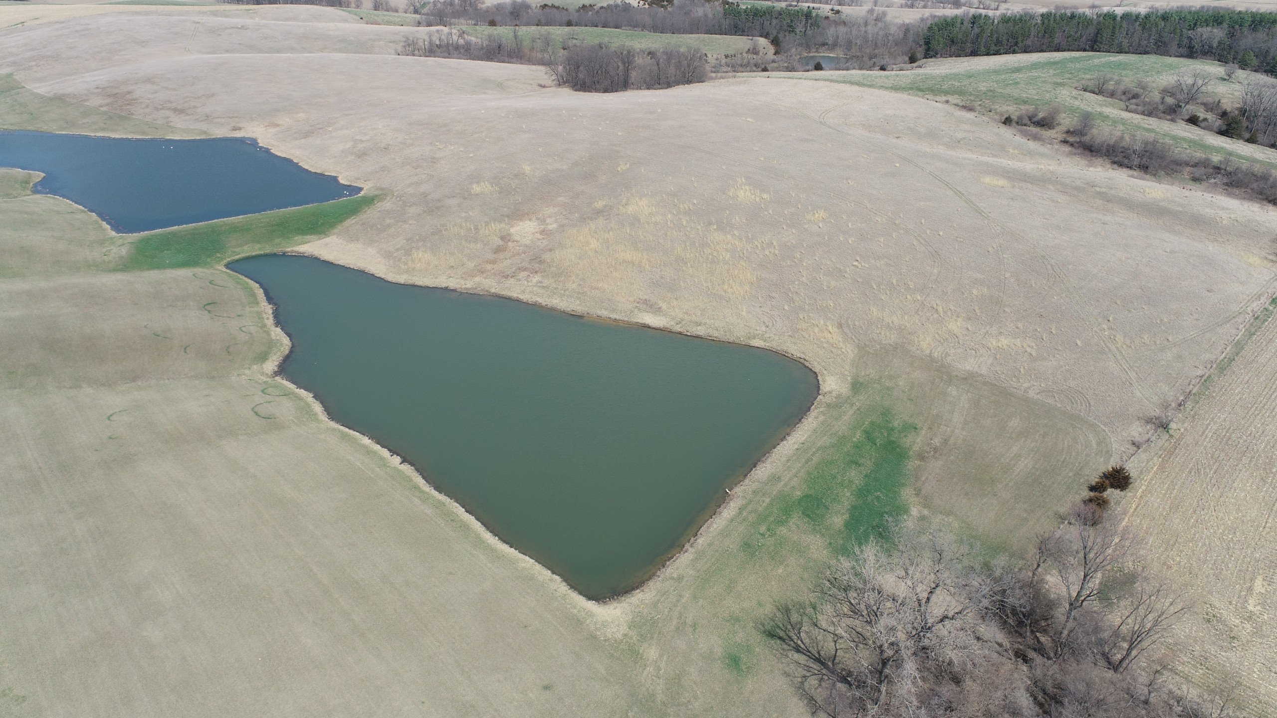 auctions-land-clinton-county-iowa-80-acres-listing-number-16758-DJI_0693-2.jpg