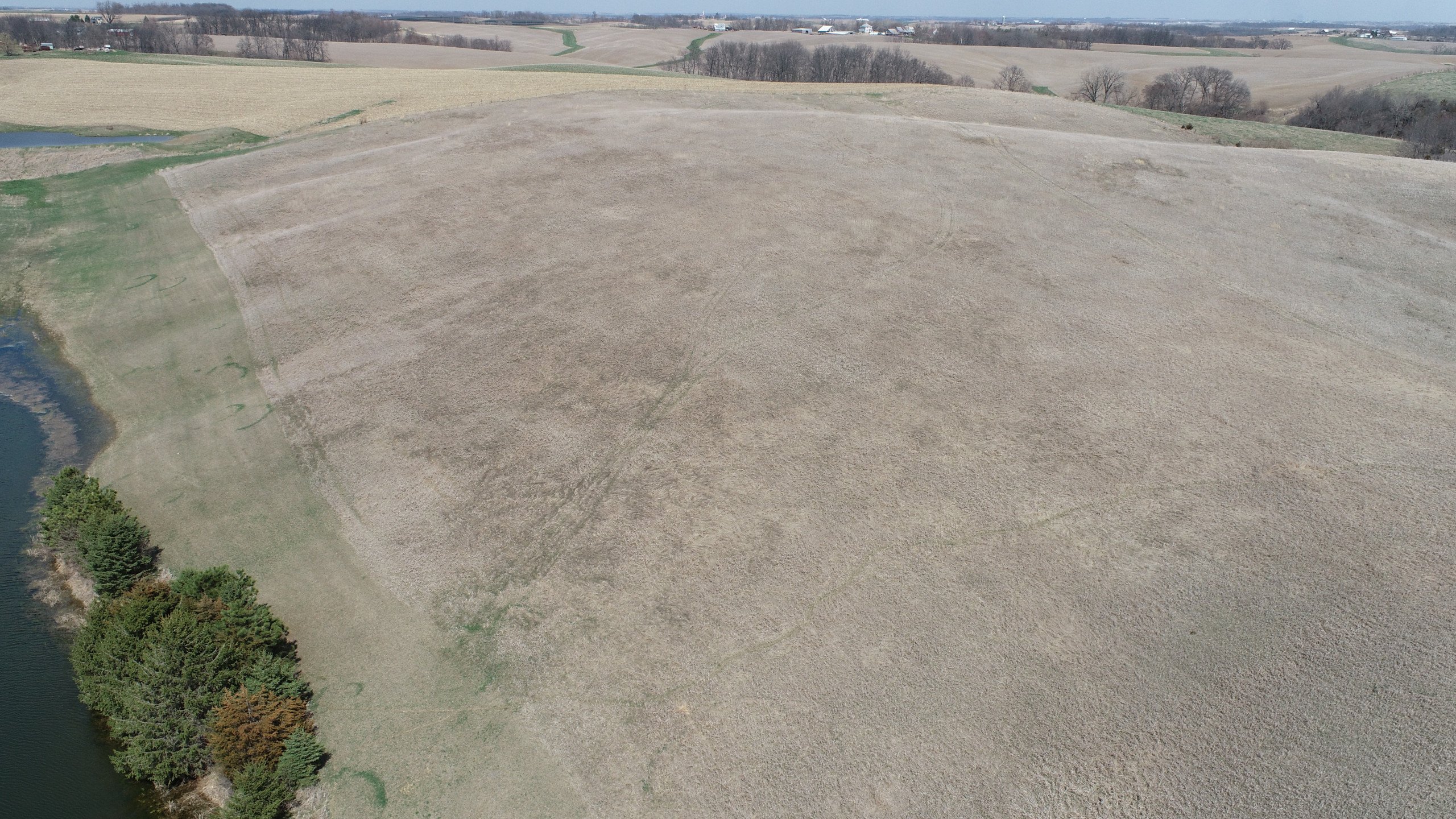 auctions-land-clinton-county-iowa-80-acres-listing-number-16758-DJI_0704-1.jpg