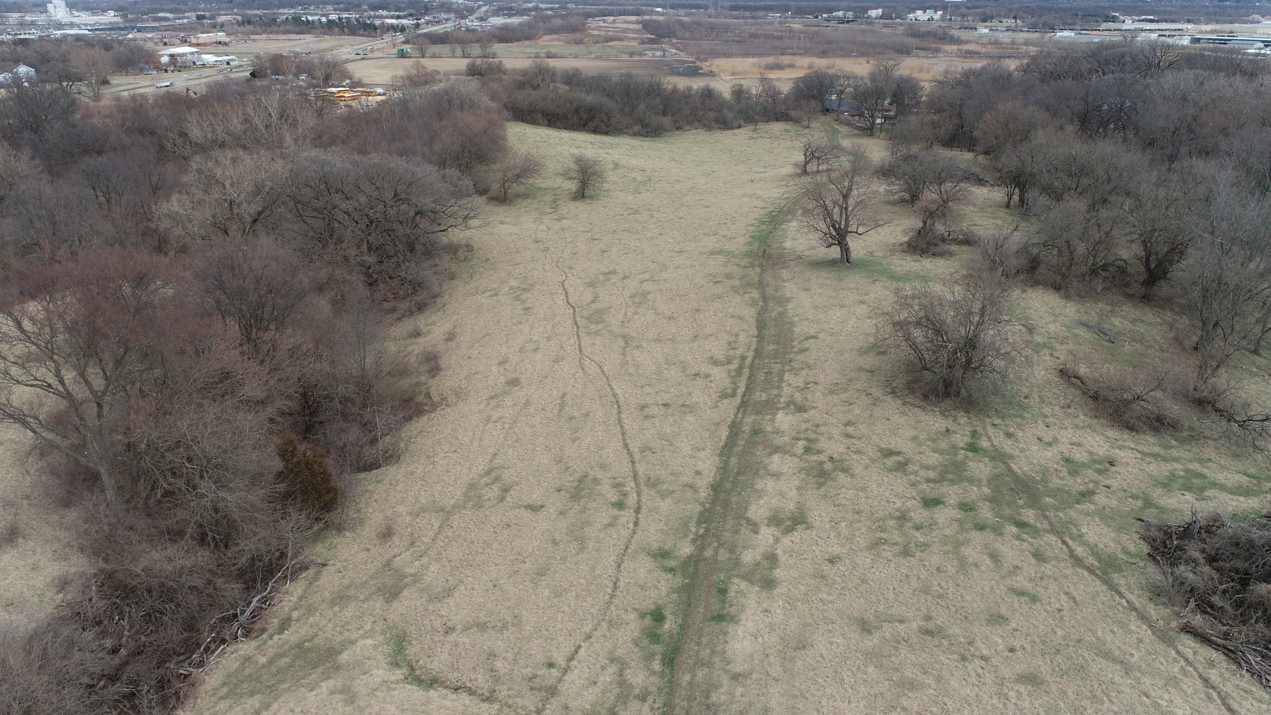 land-clinton-county-iowa-85-acres-listing-number-16762-DJI_0684-0.jpg