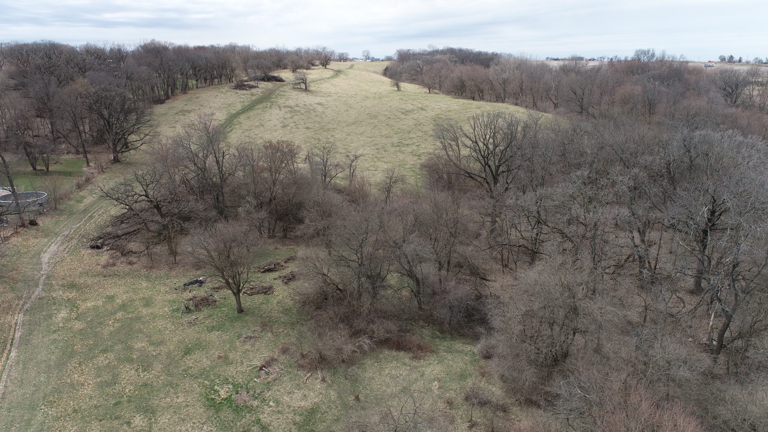 land-clinton-county-iowa-85-acres-listing-number-16762-DJI_0686-2.jpg