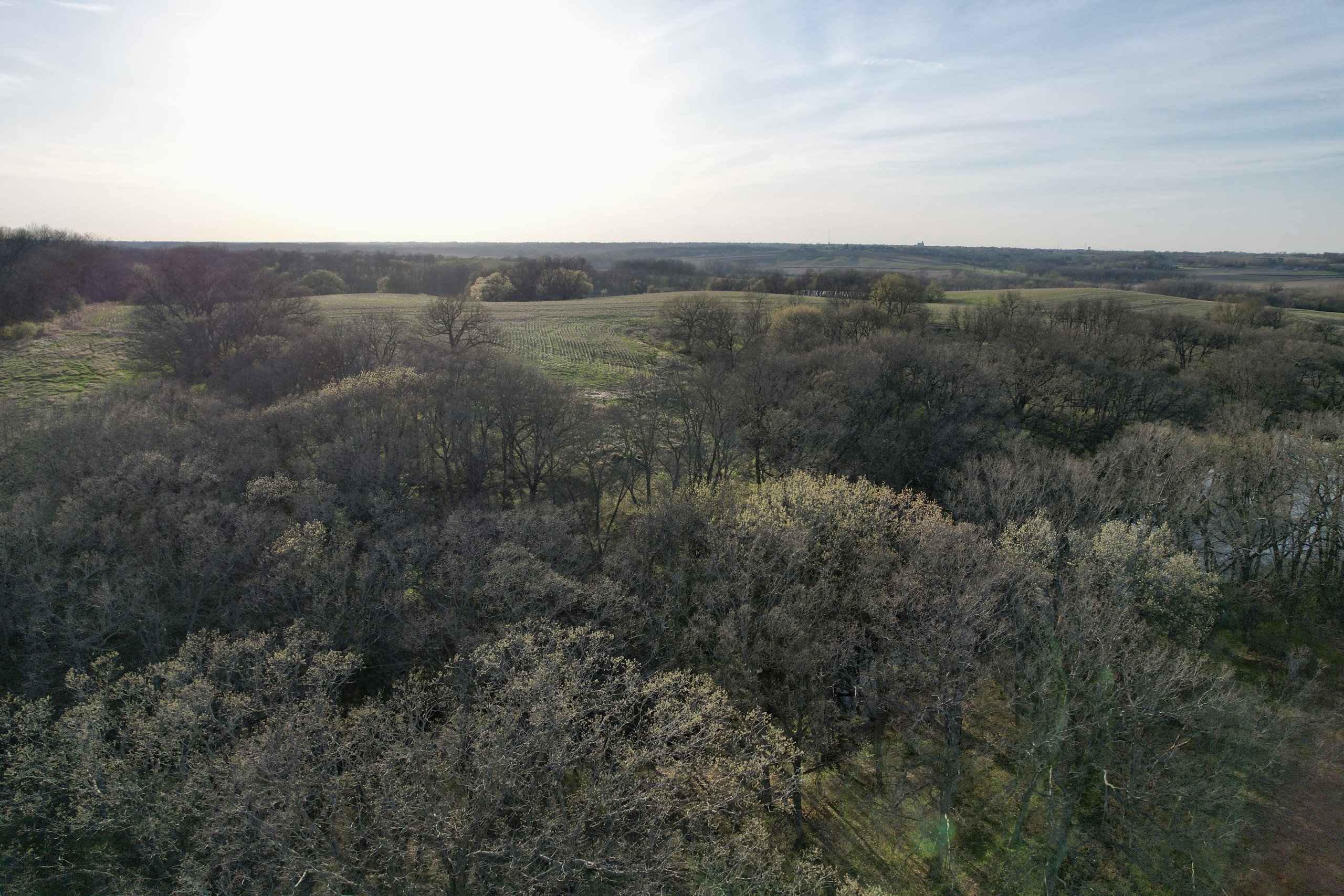 land-warren-county-iowa-4-acres-listing-number-16774-DJI_0915-0.jpg