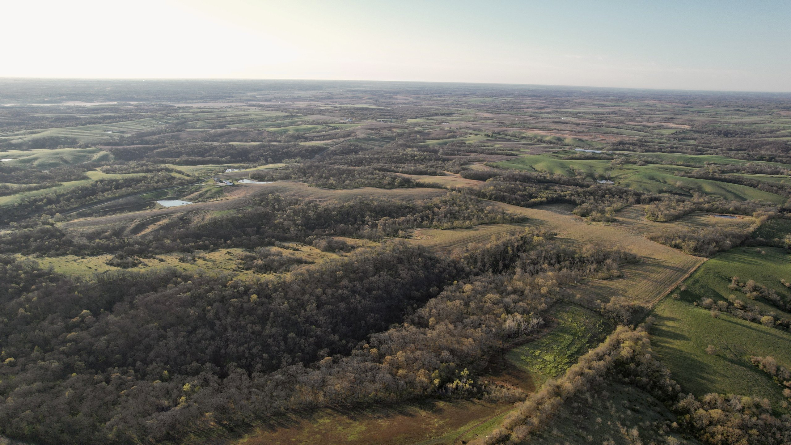 land-marion-county-iowa-173-acres-listing-number-16784-DJI_0094-1.jpg