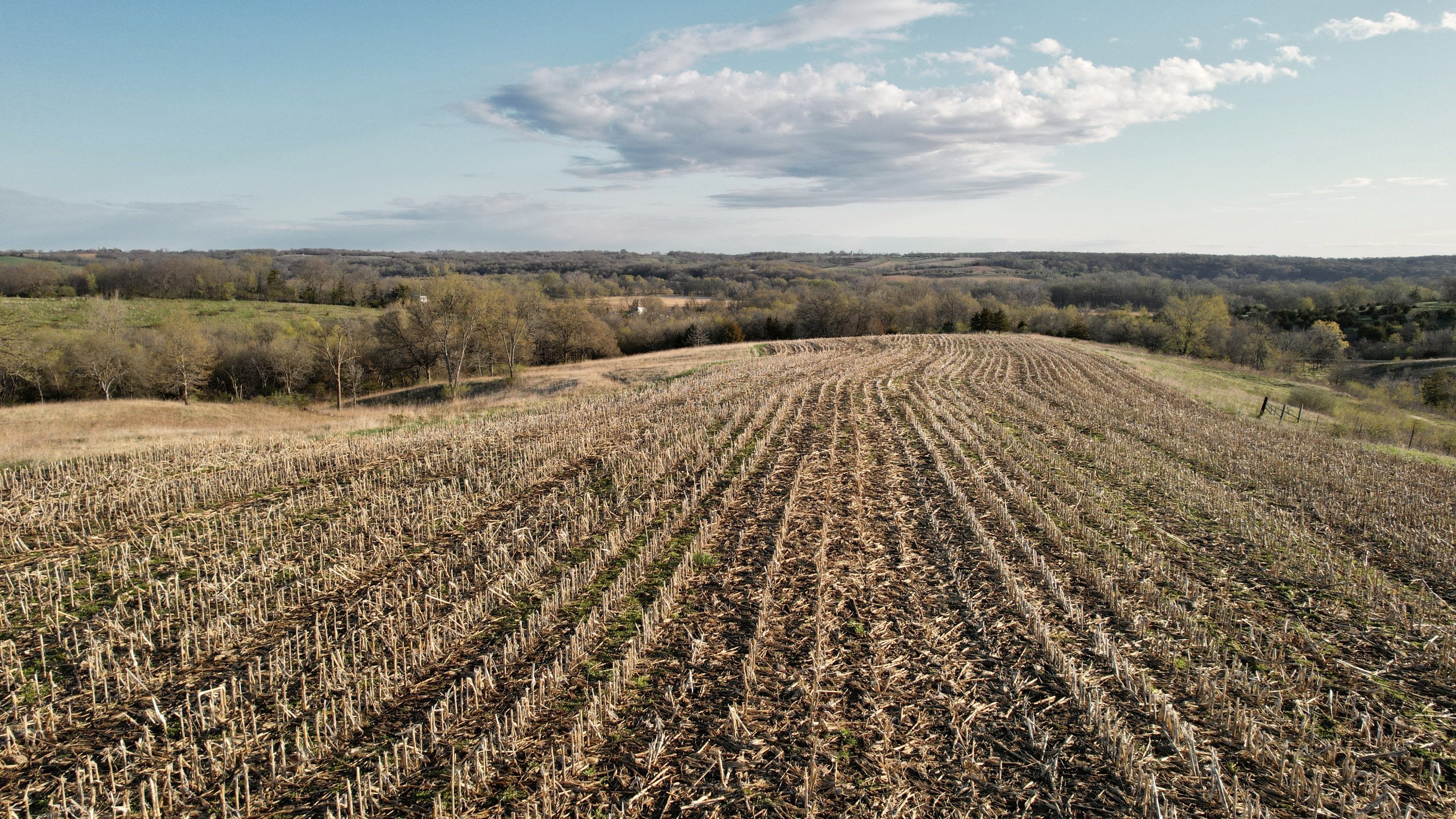 land-marion-county-iowa-173-acres-listing-number-16784-DJI_0112-4.jpg