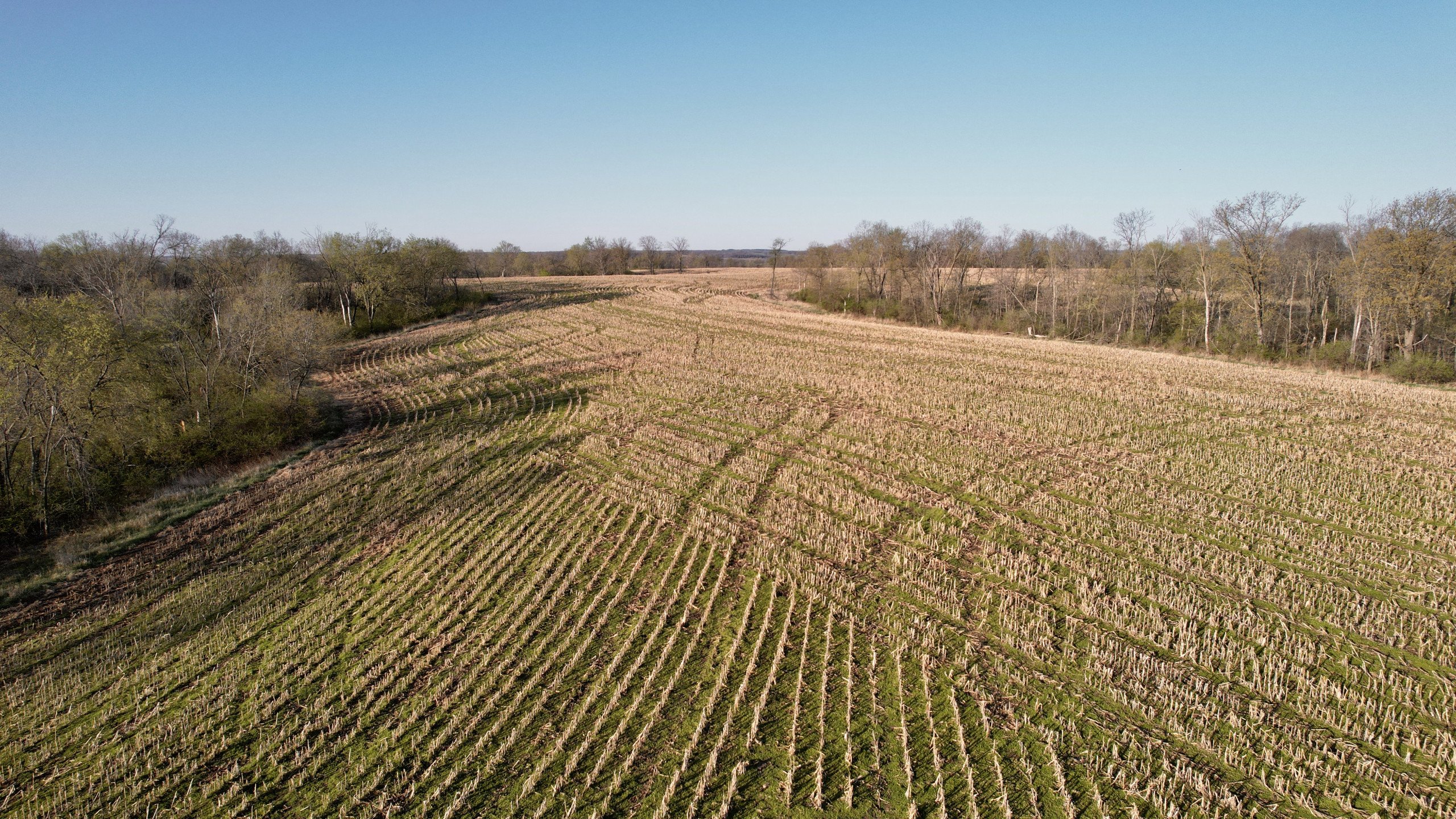 land-marion-county-iowa-173-acres-listing-number-16784-DJI_0125-4.jpg