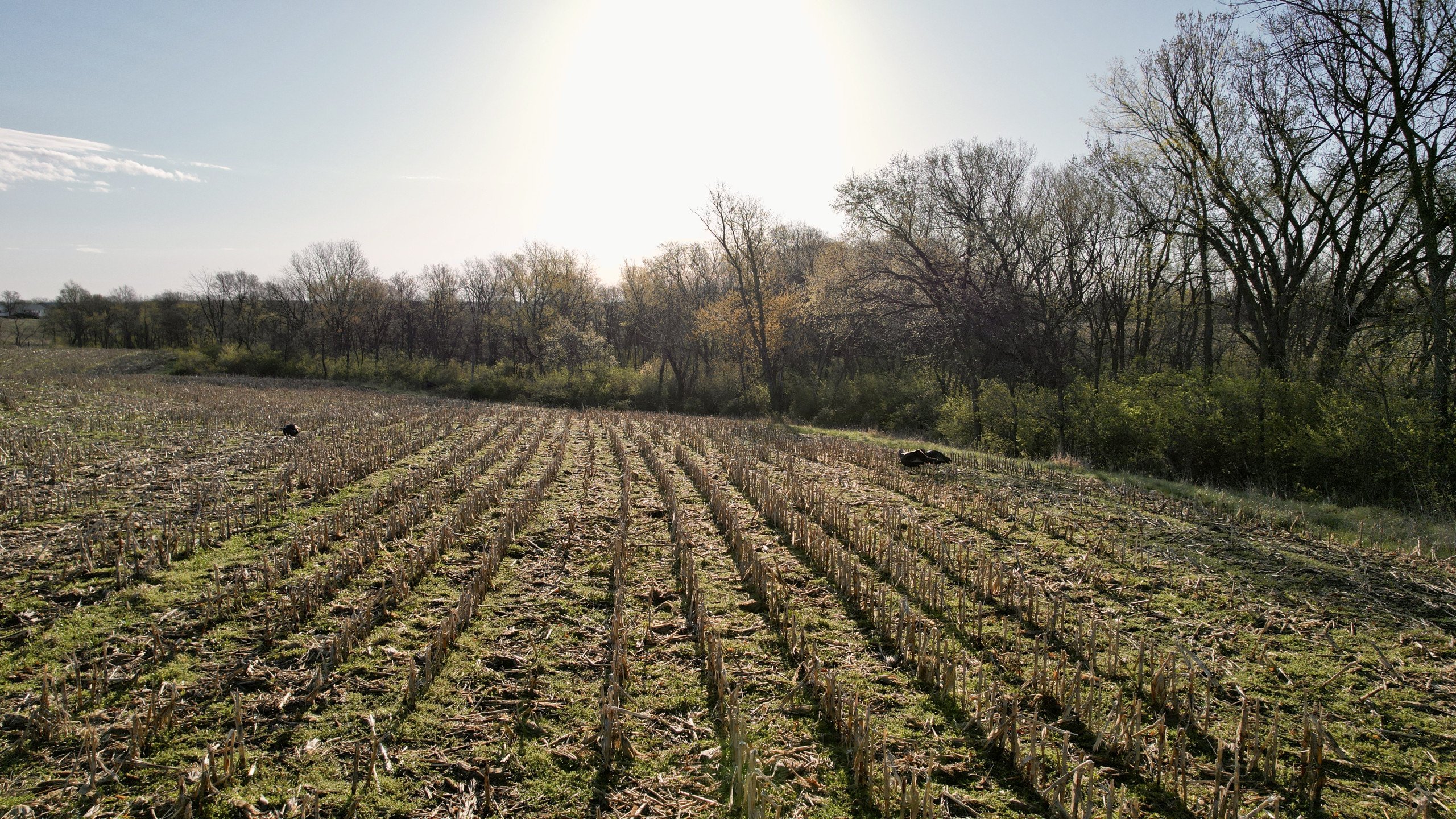 land-marion-county-iowa-173-acres-listing-number-16784-DJI_0141-0.jpg