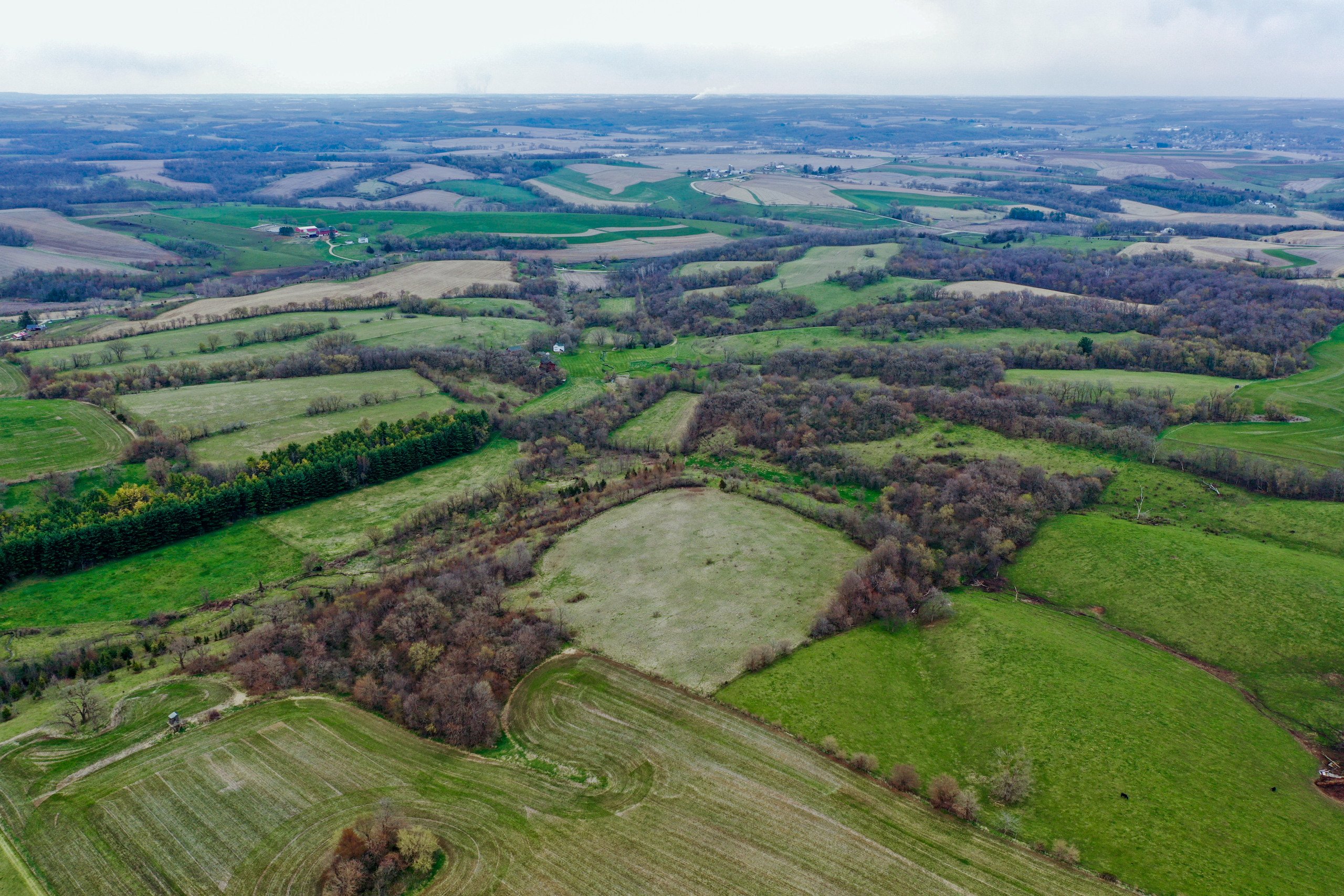 land-lafayette-county-wisconsin-209-acres-listing-number-16791-DJI_0282-1.jpg