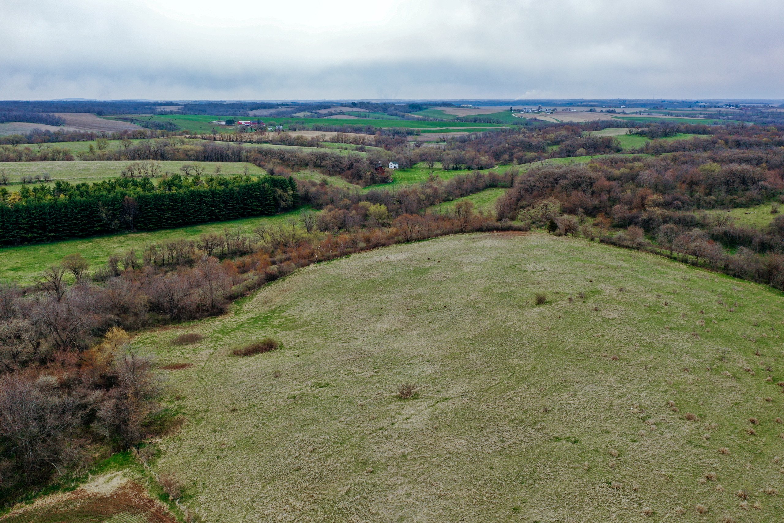 land-lafayette-county-wisconsin-209-acres-listing-number-16791-DJI_0287-3.jpg