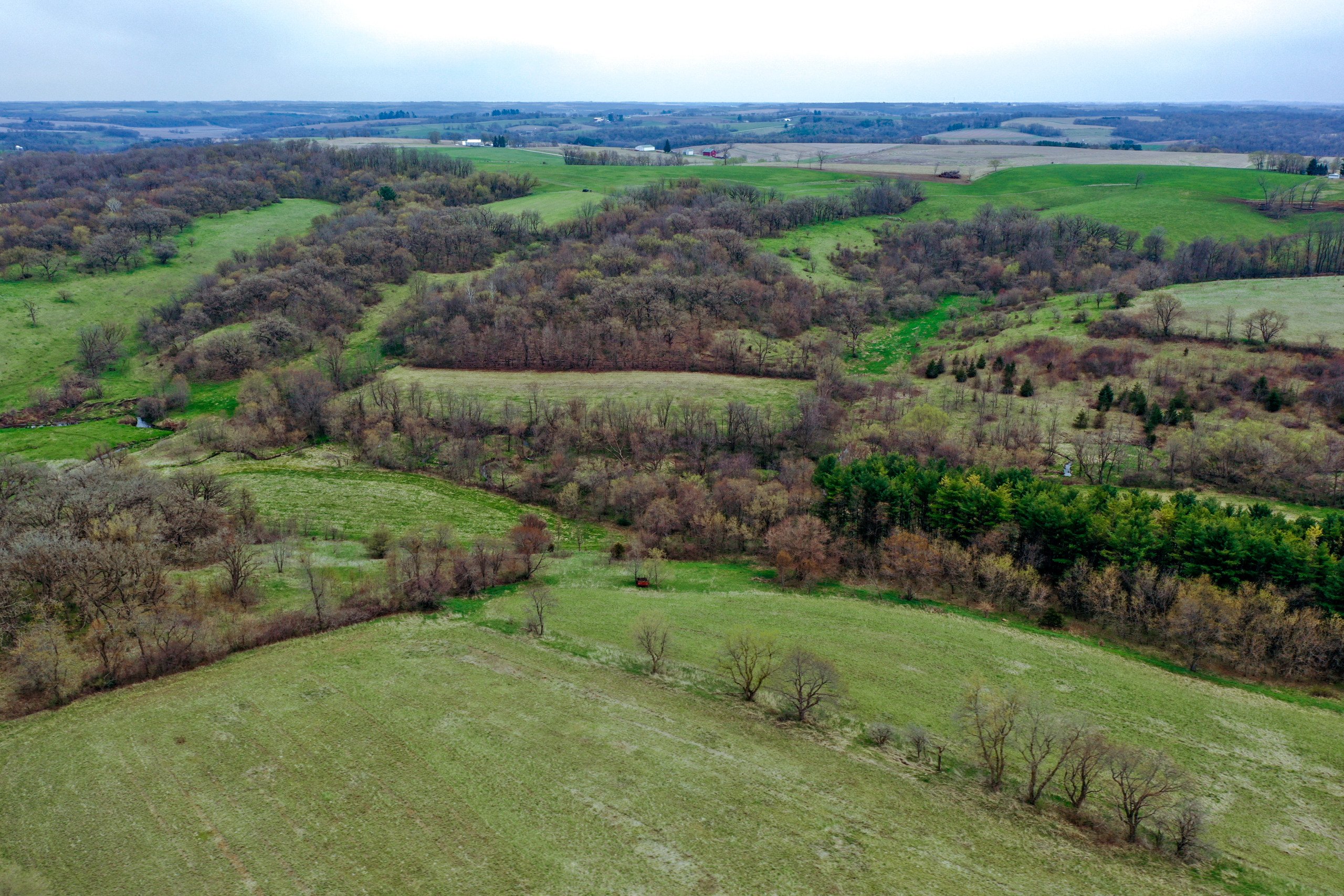 land-lafayette-county-wisconsin-209-acres-listing-number-16791-DJI_0294-0.jpg