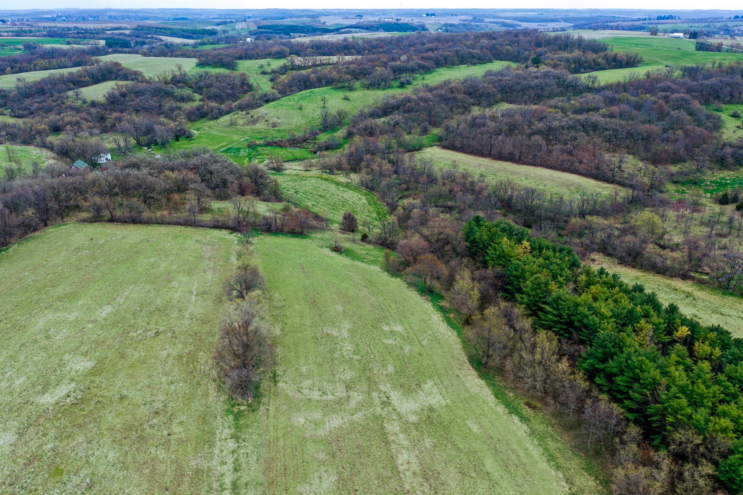 land-lafayette-county-wisconsin-209-acres-listing-number-16791-DJI_0296-1.jpg