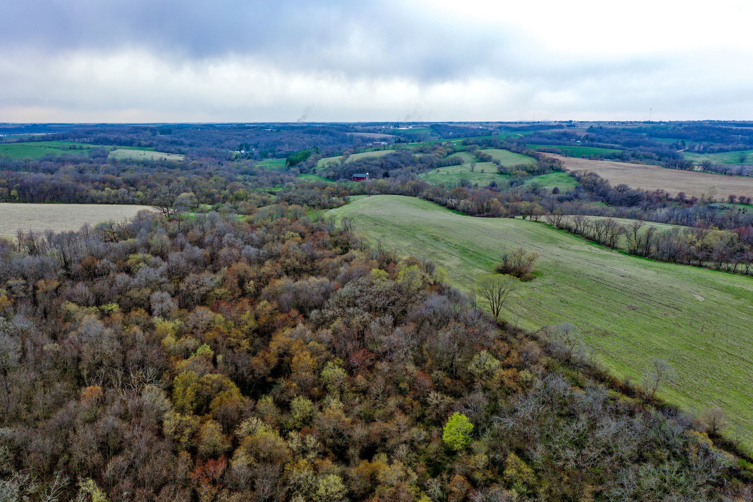 land-lafayette-county-wisconsin-209-acres-listing-number-16791-DJI_0306-0.jpg