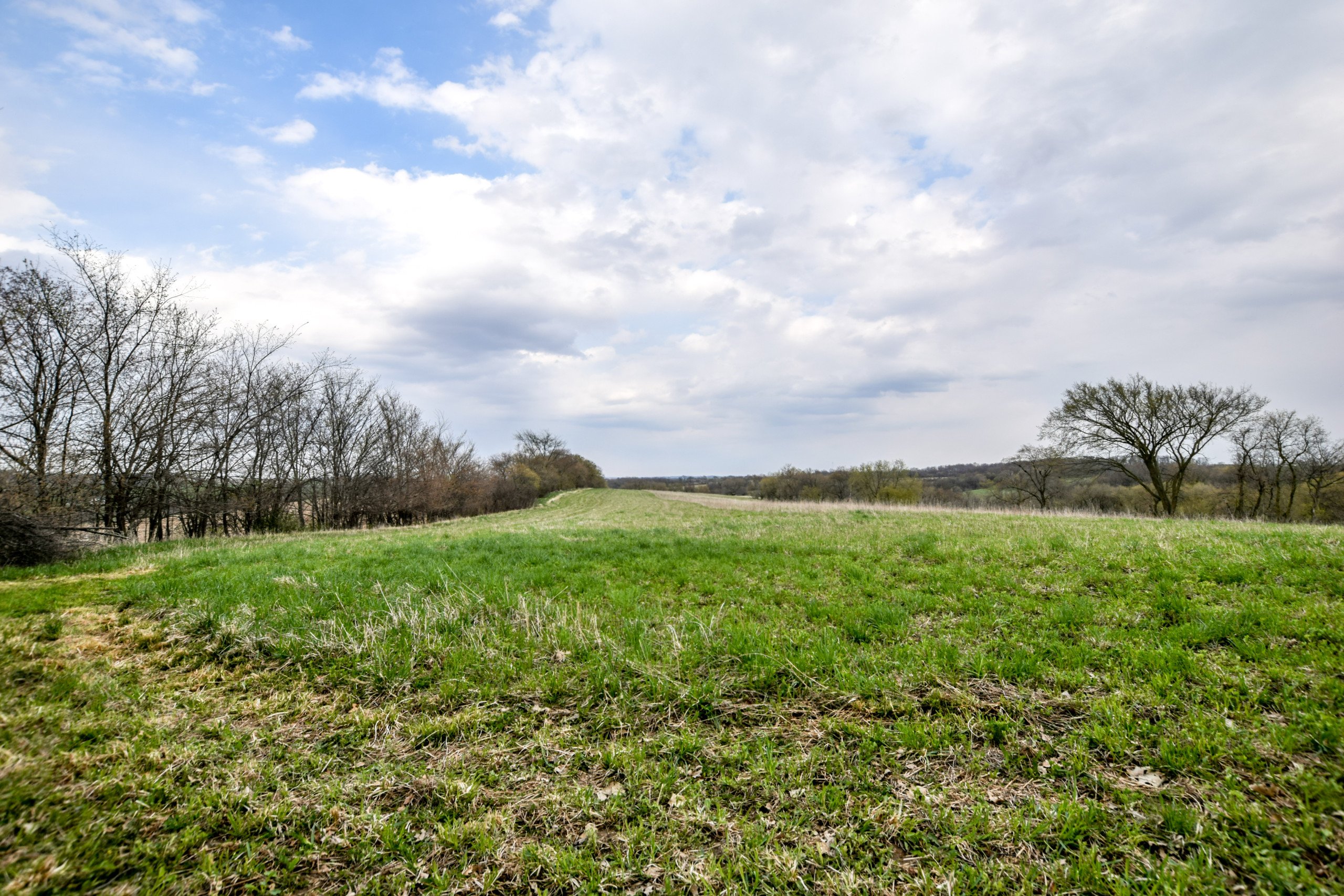 land-lafayette-county-wisconsin-209-acres-listing-number-16791-DSC_0765-3.jpg