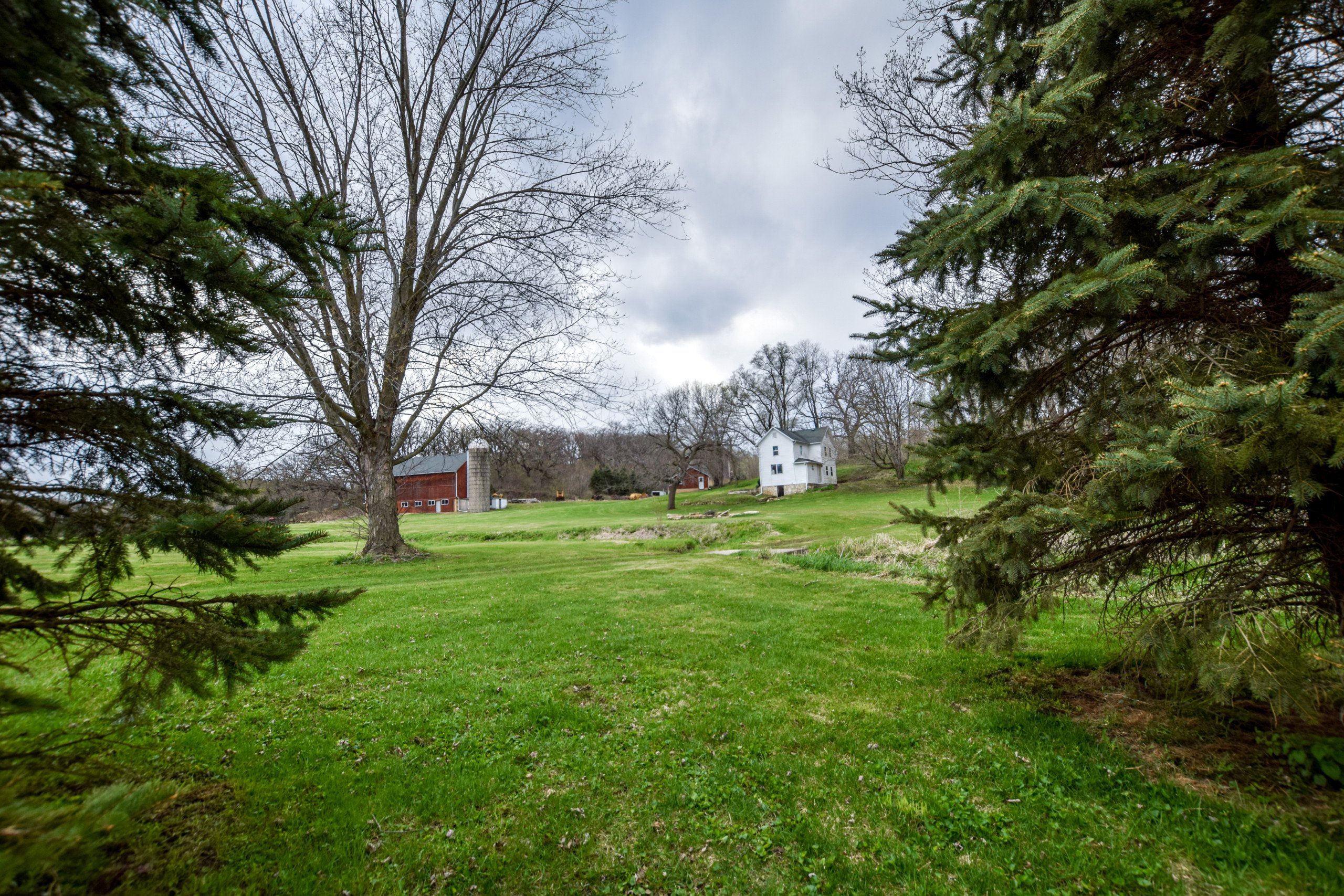 land-lafayette-county-wisconsin-209-acres-listing-number-16791-DSC_0780-3.jpg