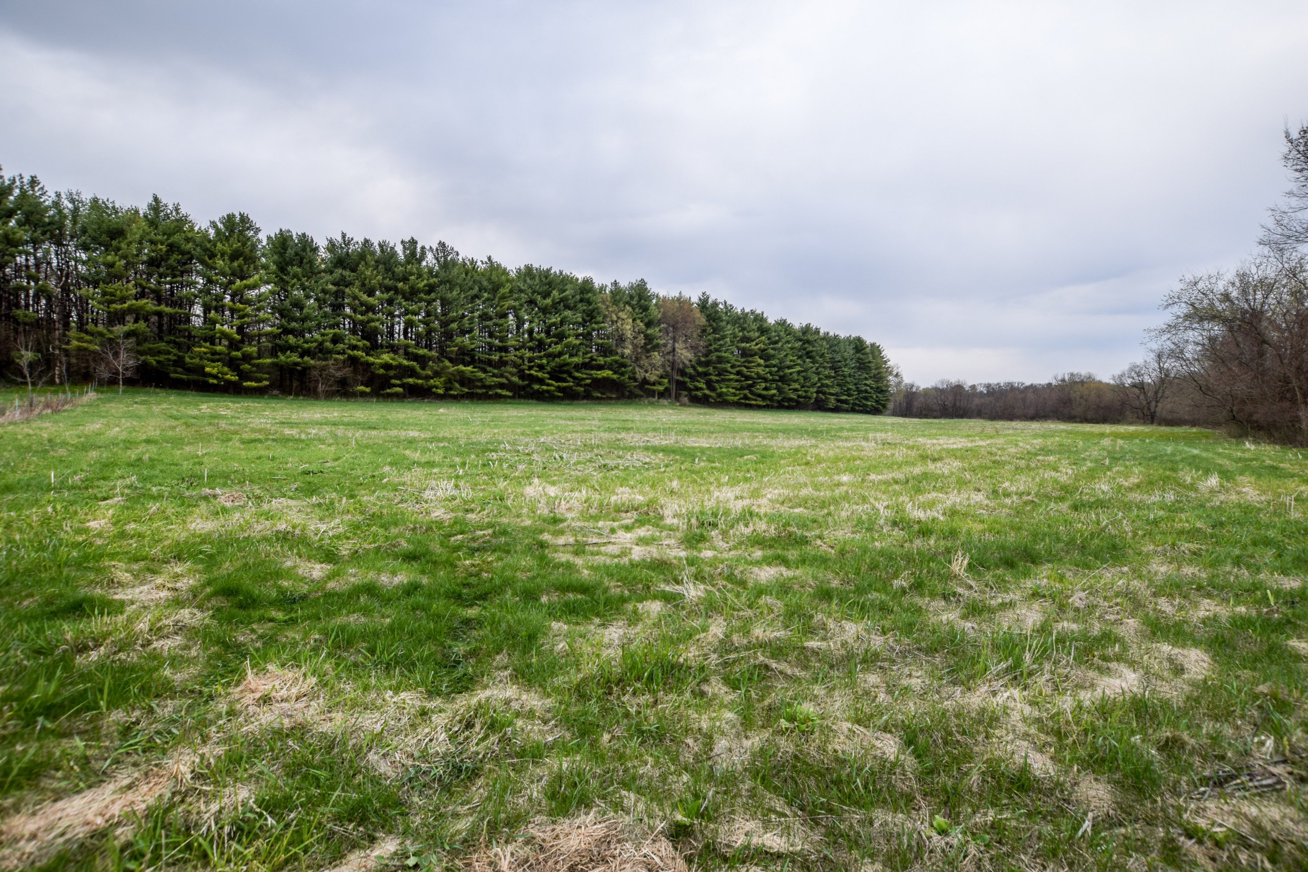 land-lafayette-county-wisconsin-209-acres-listing-number-16791-DSC_0781-3.jpg