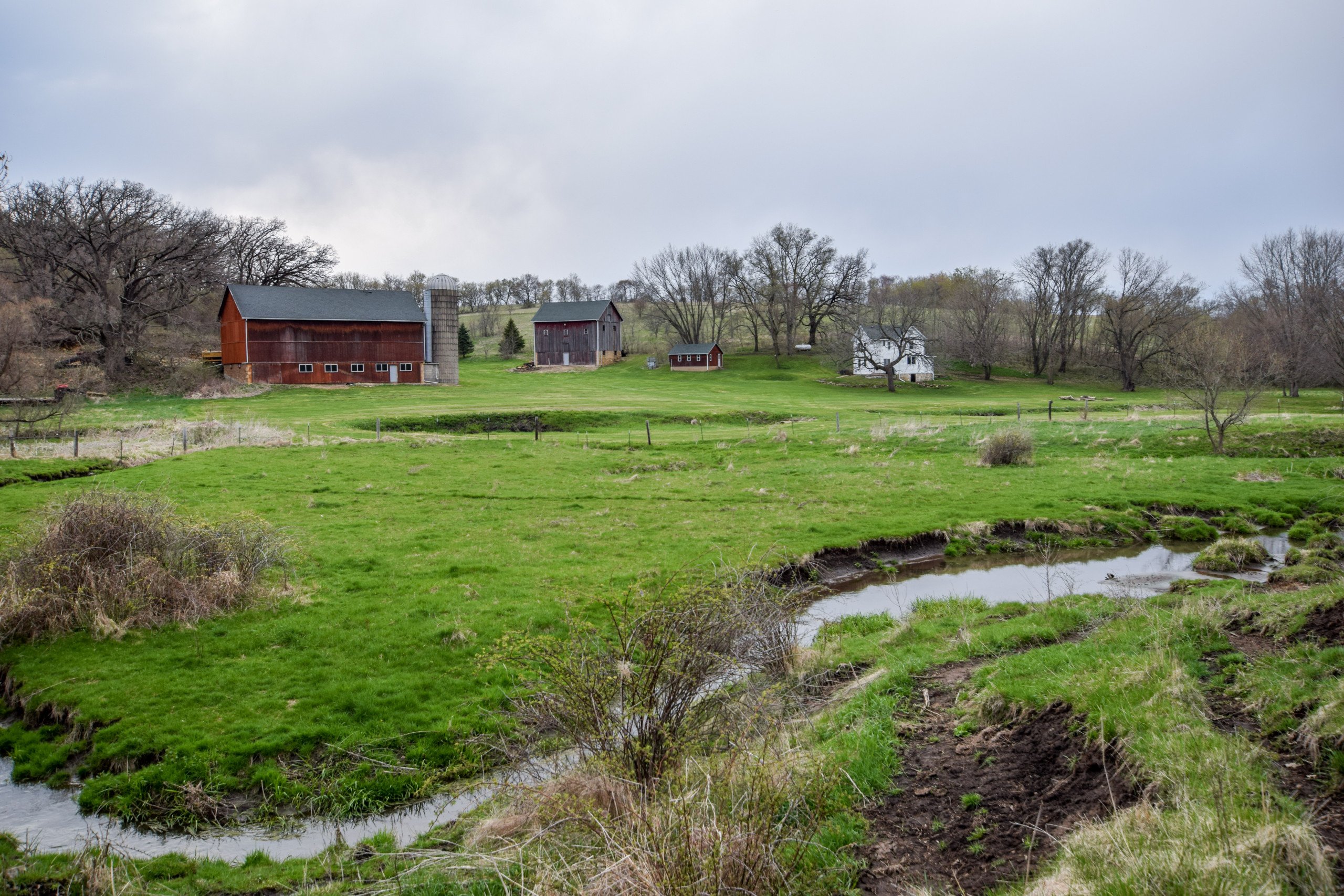 land-lafayette-county-wisconsin-209-acres-listing-number-16791-DSC_0794-2.jpg