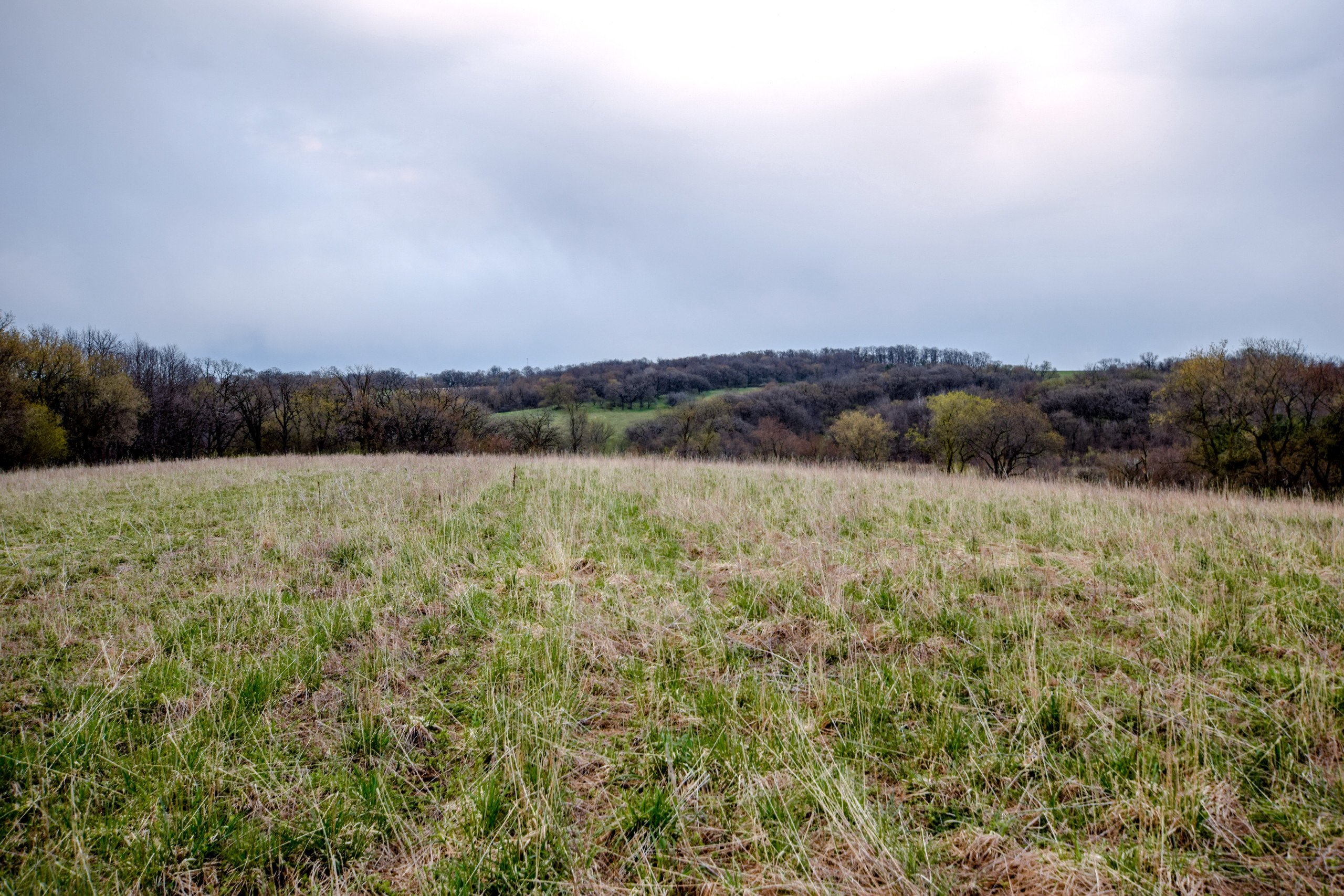 land-lafayette-county-wisconsin-209-acres-listing-number-16791-DSC_0815-4.jpg