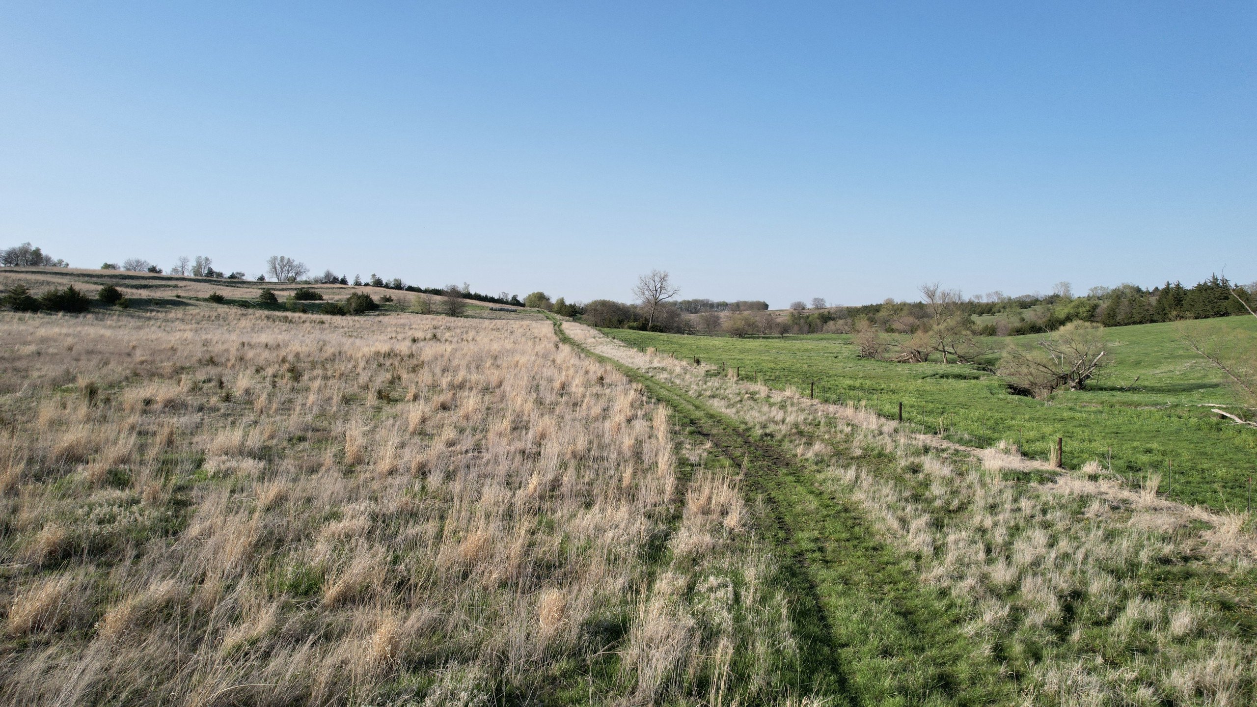 Adams County, Iowa Farmland For Sale