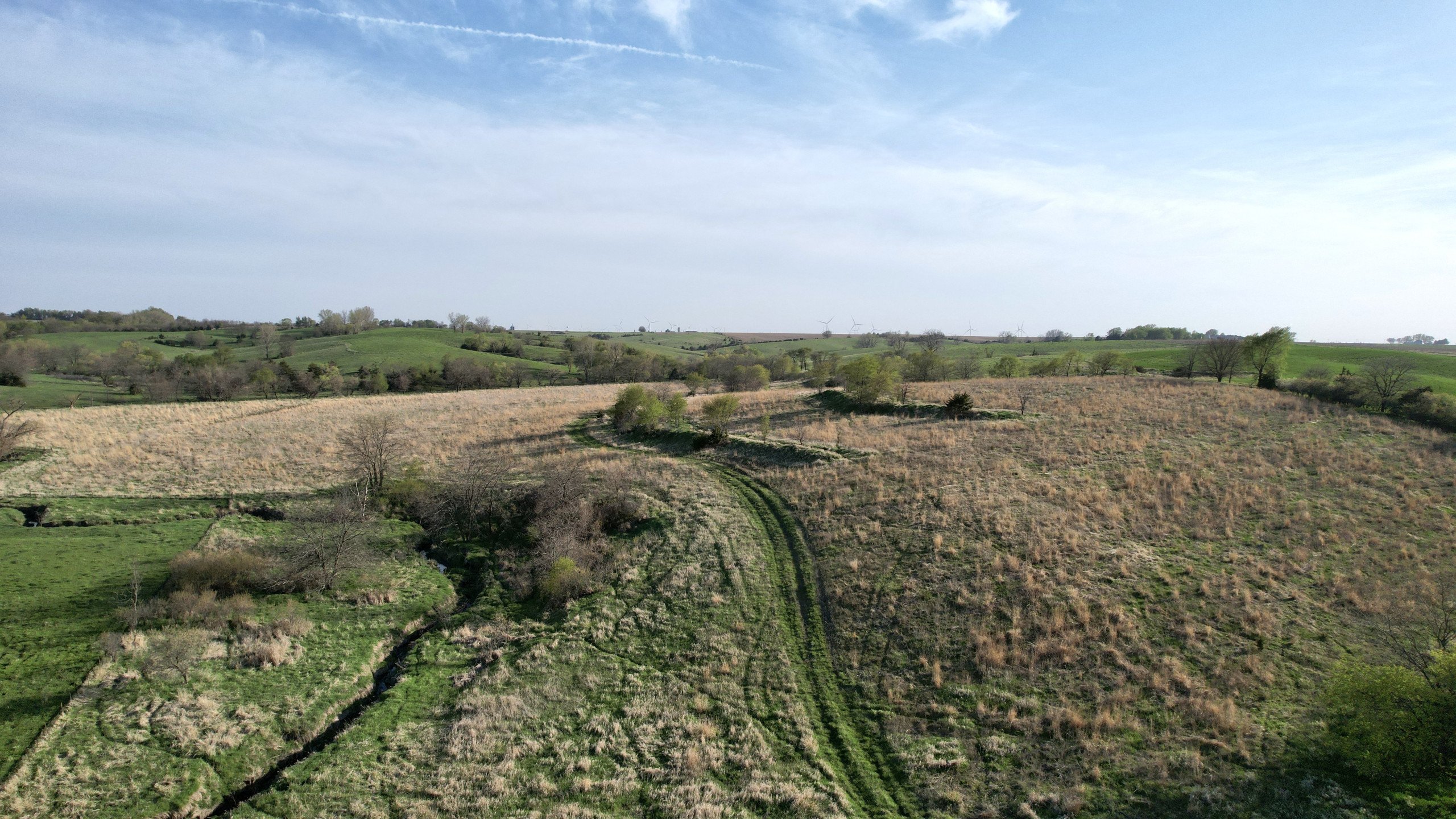 Adams County, Iowa Farmland For Sale