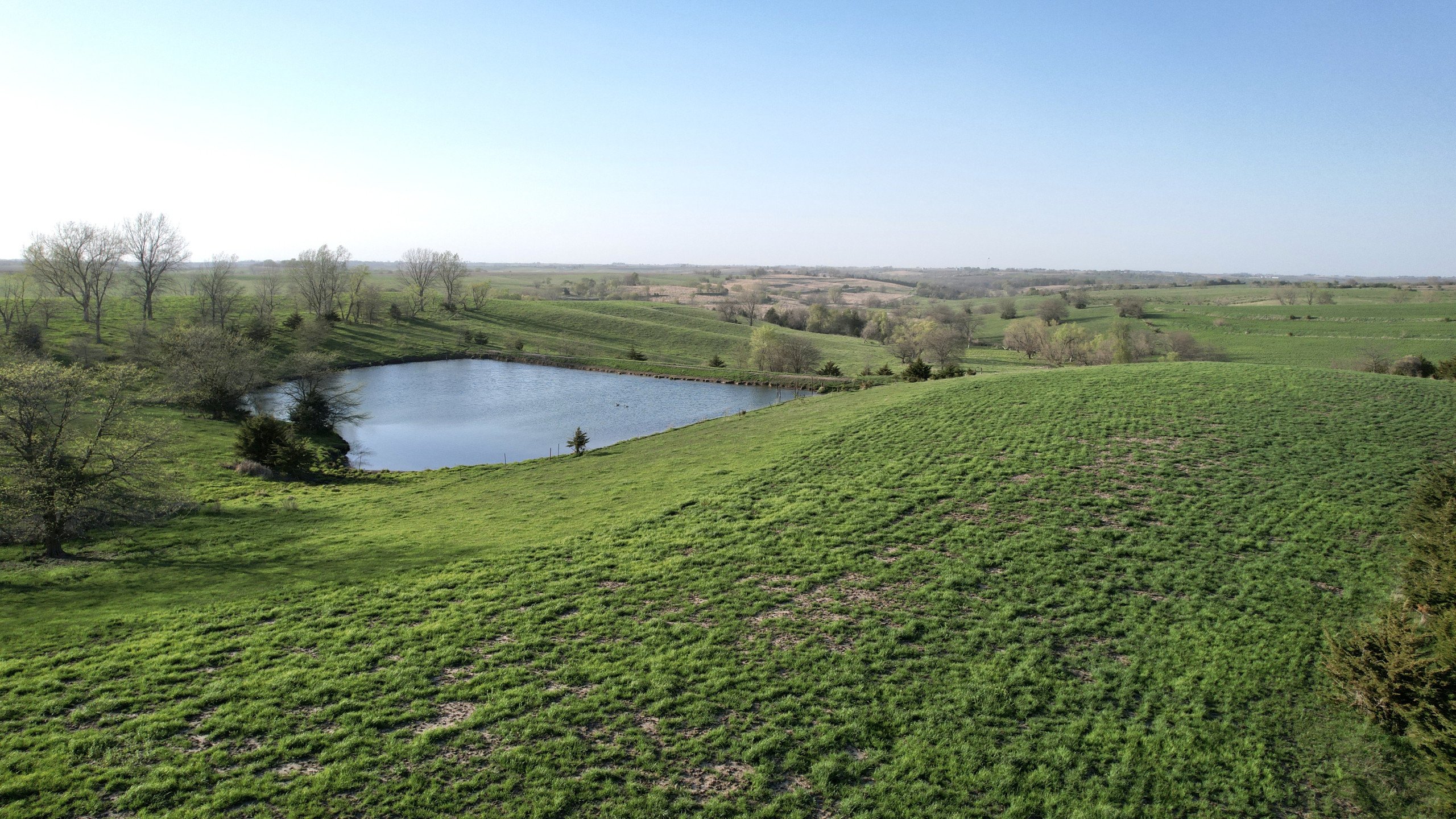 Adams County, Iowa Farmland For Sale