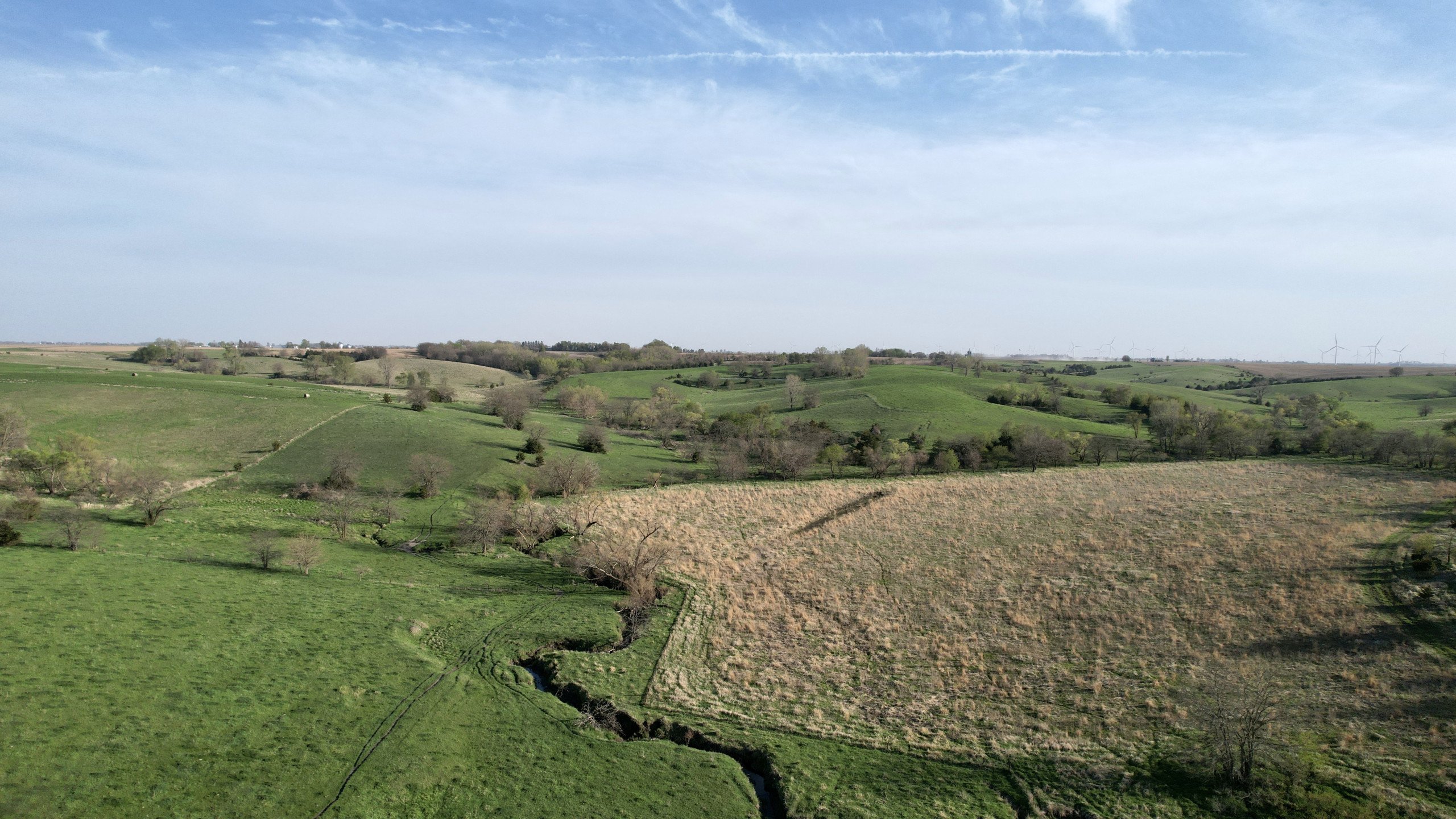 Adams County, Iowa Farmland For Sale