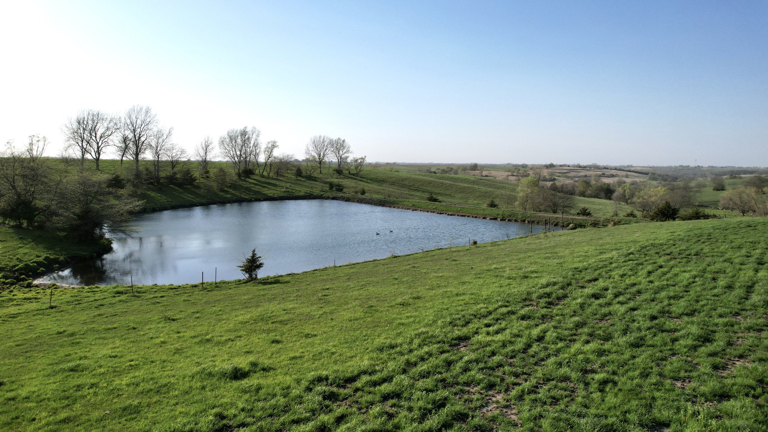 Adams County, Iowa Farmland For Sale