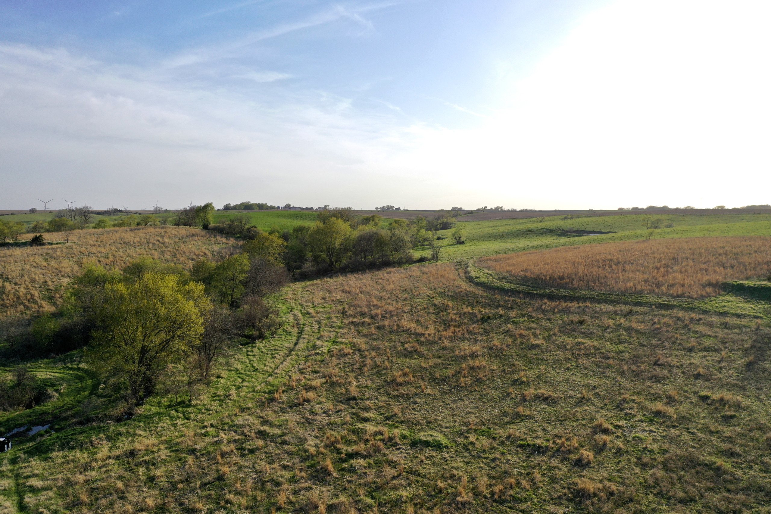 Adams County, Iowa Farmland For Sale