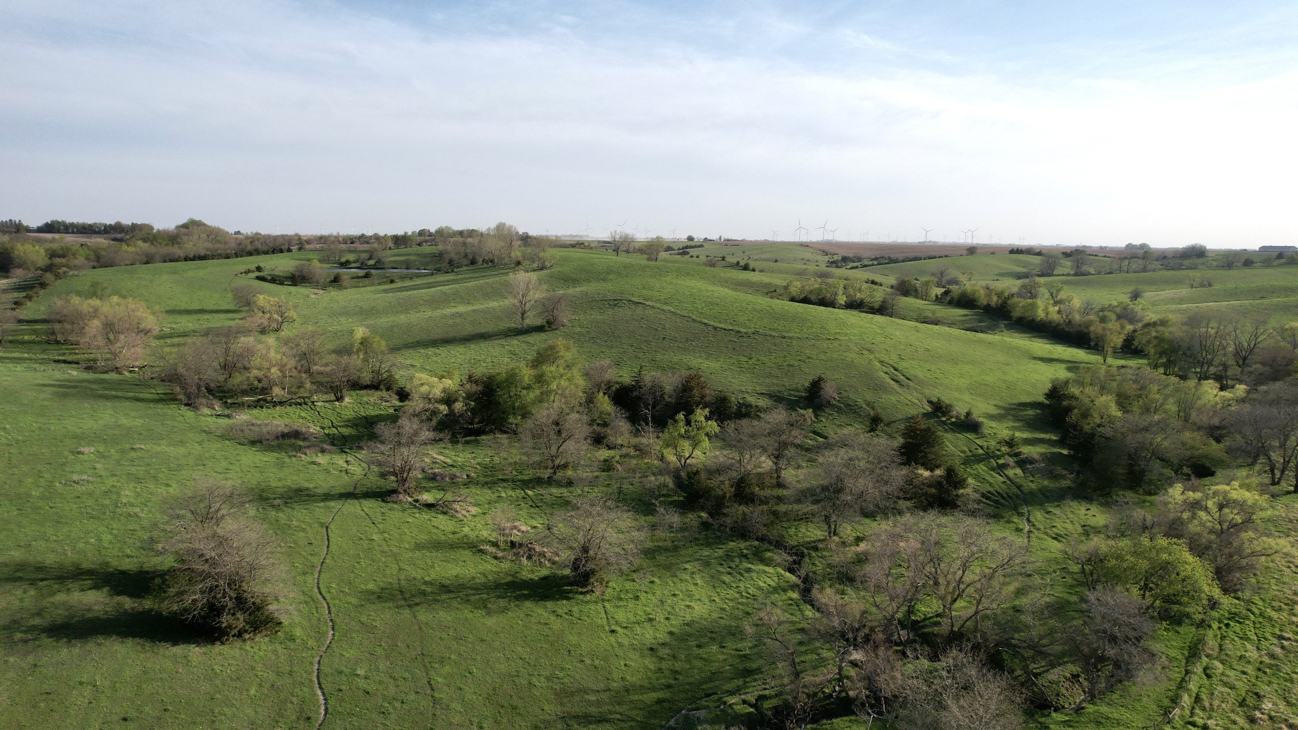 Adams County, Iowa Farmland For Sale