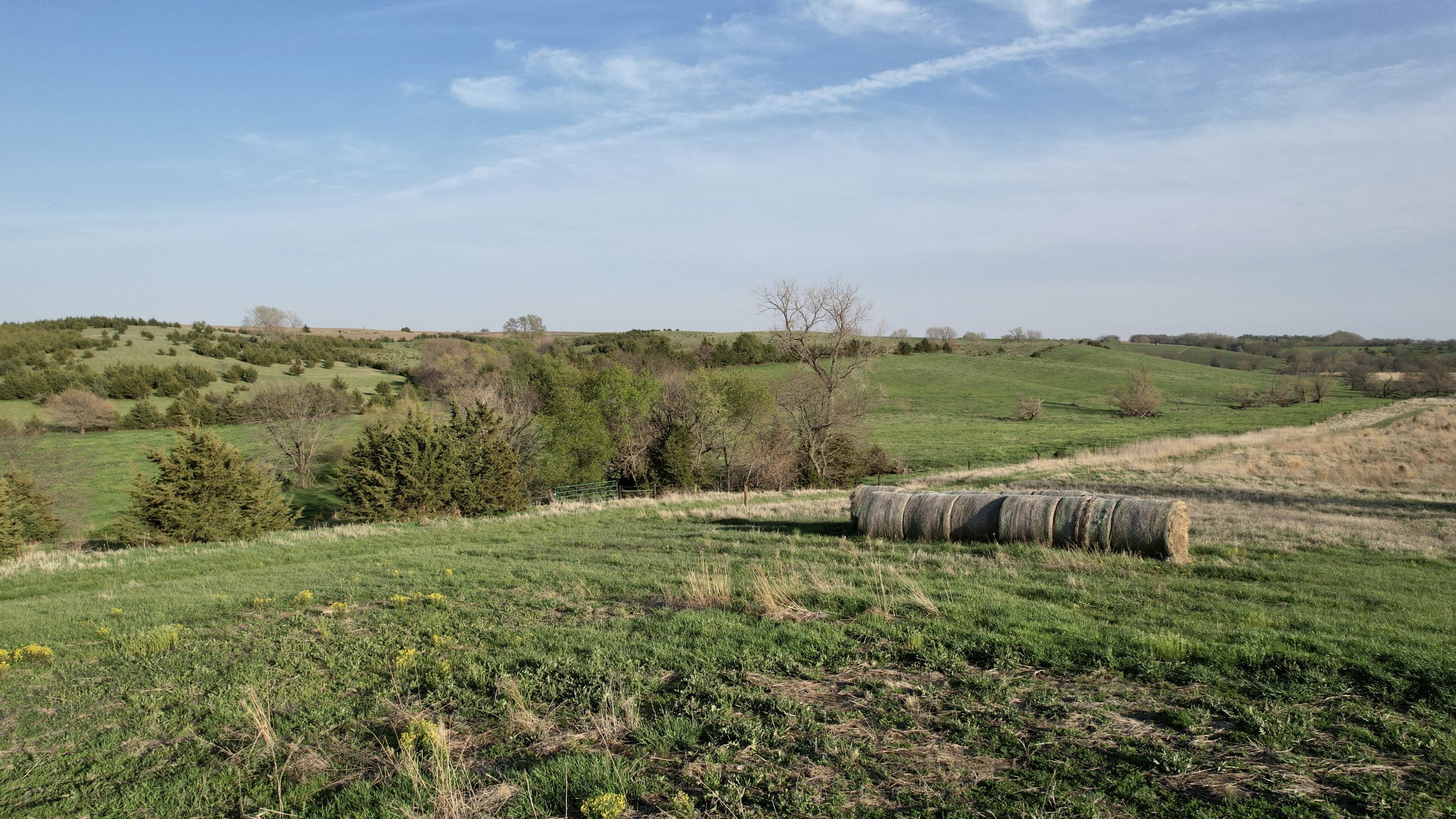 Adams County, Iowa Farmland For Sale