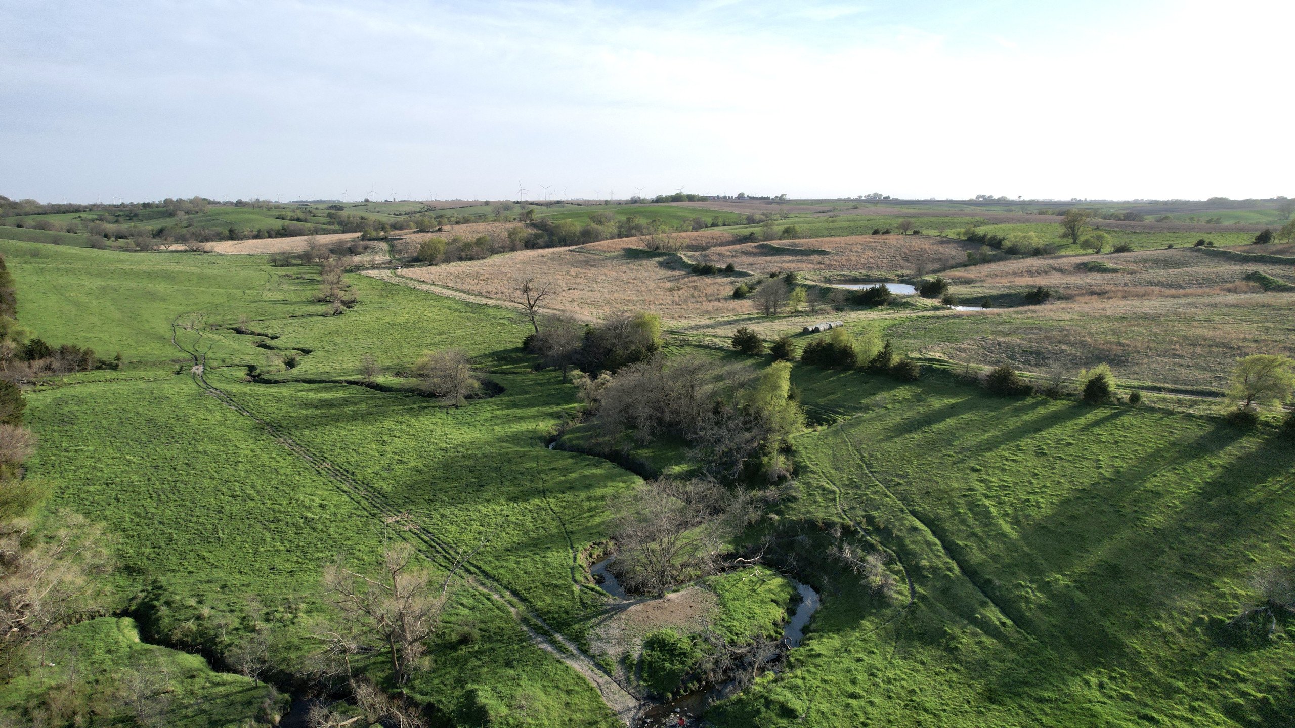 Adams County, Iowa Farmland For Sale