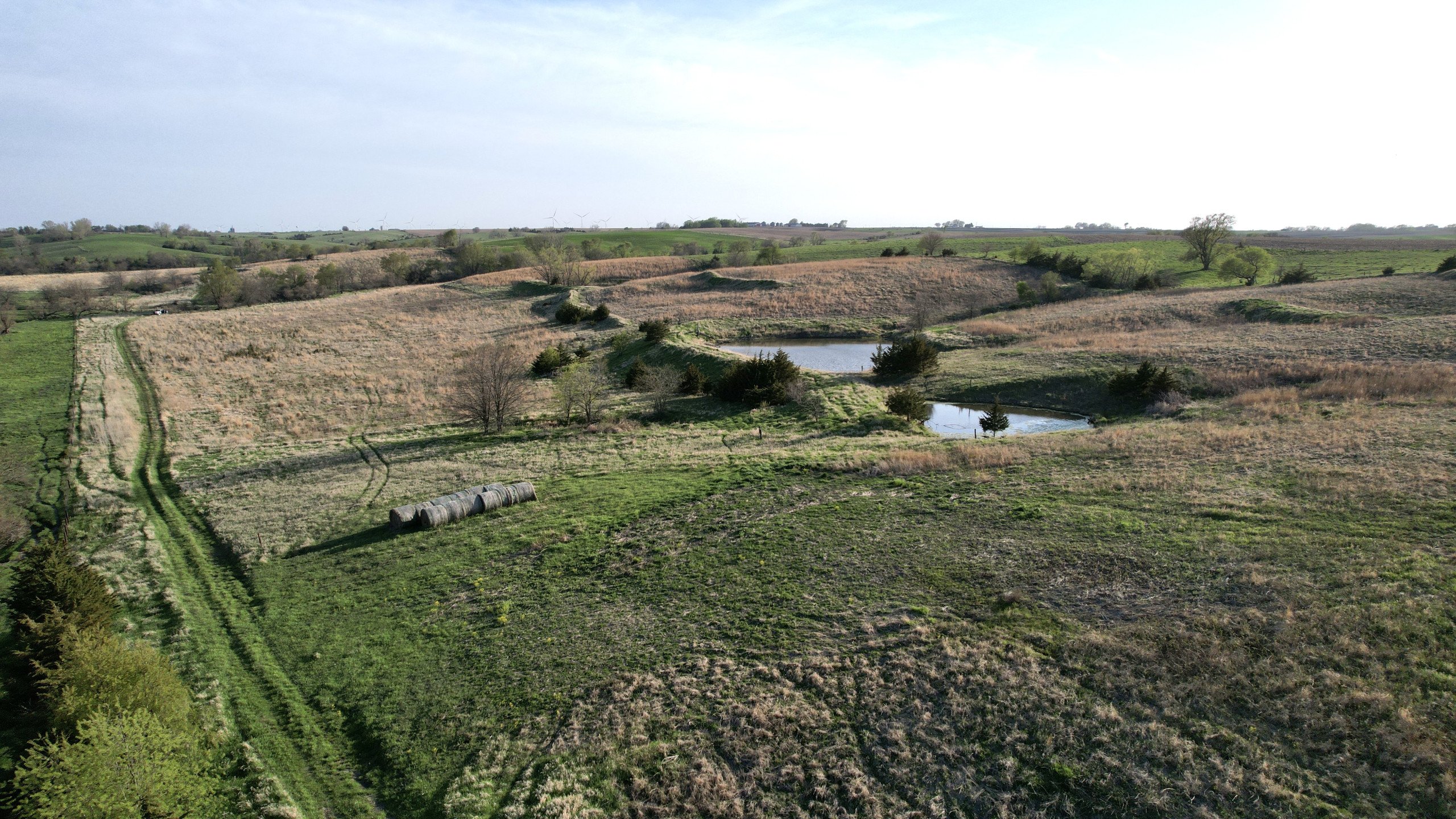 Adams County, Iowa Farmland For Sale