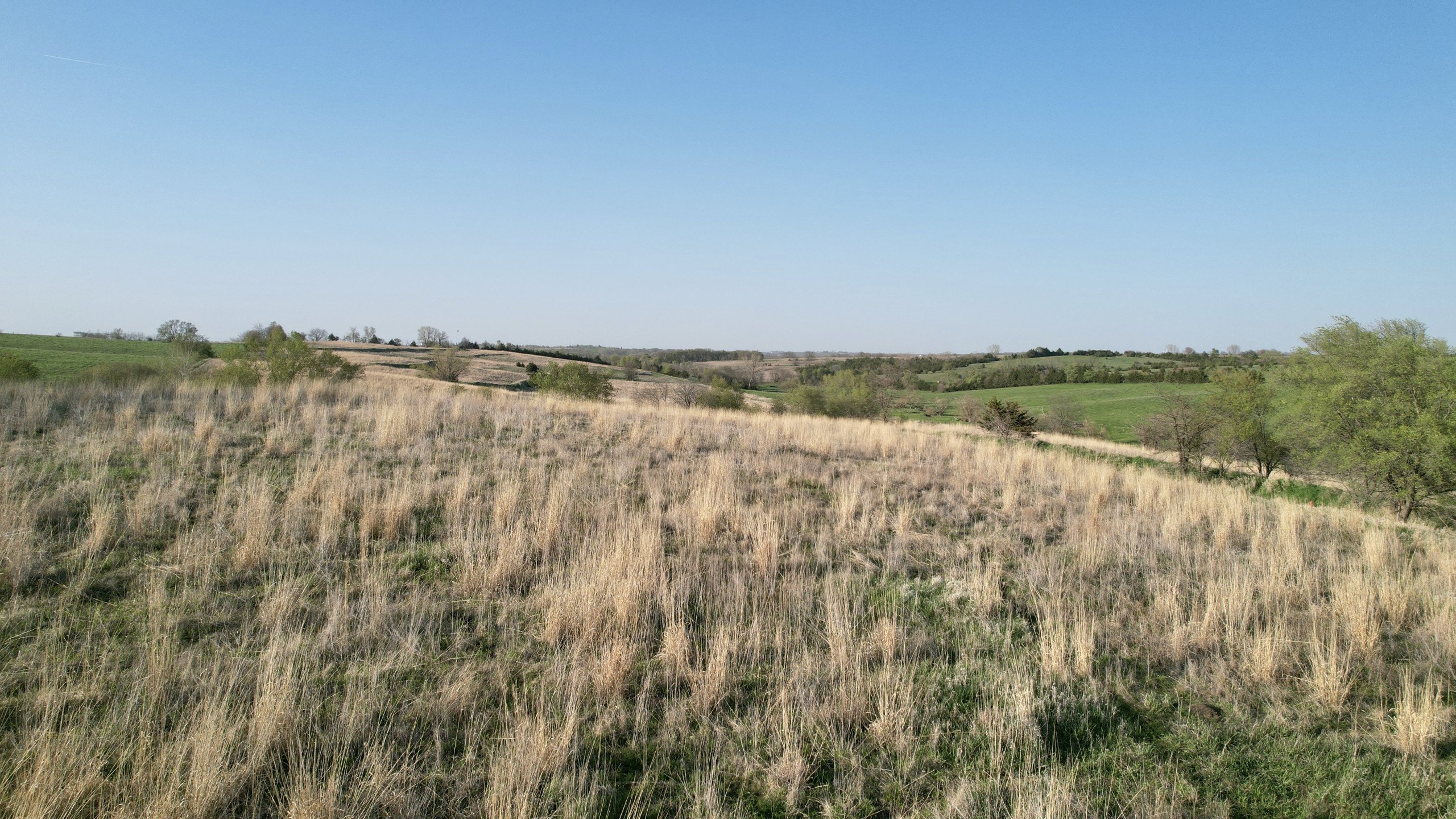 Adams County, Iowa Farmland For Sale