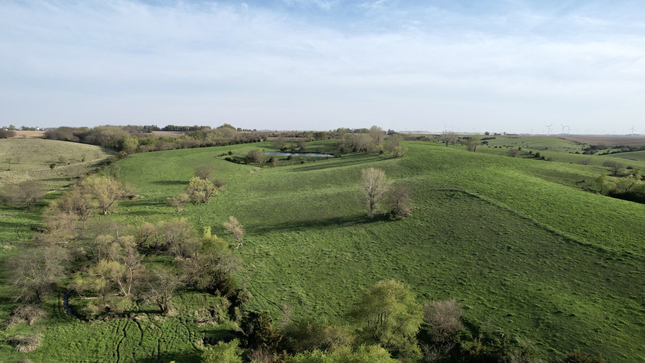 Adams County, Iowa Farmland For Sale