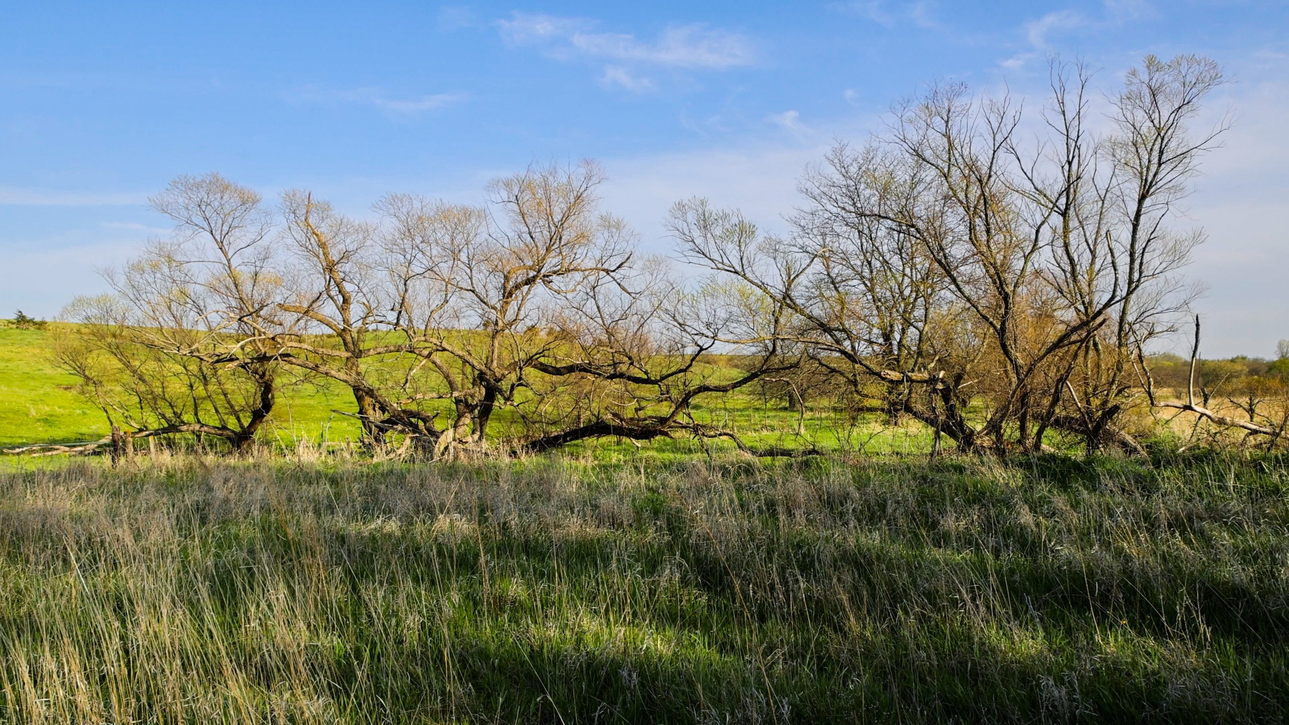 Adams County, Iowa Farmland For Sale